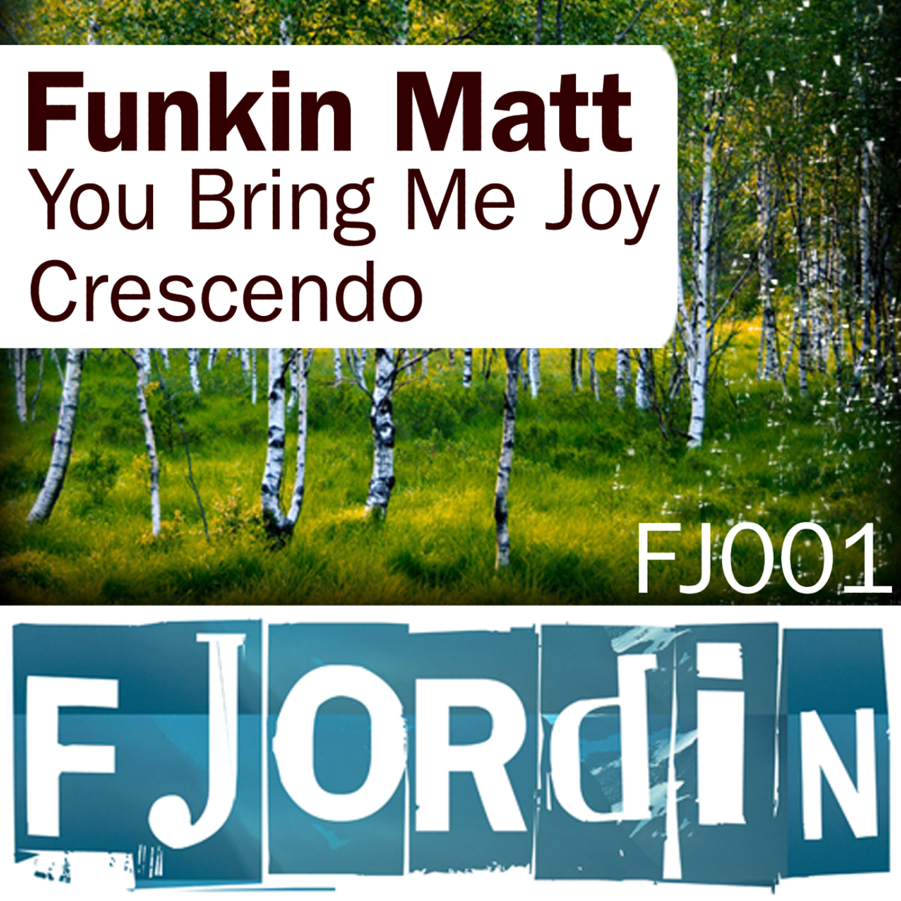 Funkin Matt - Crescendo (Orignal Mix)