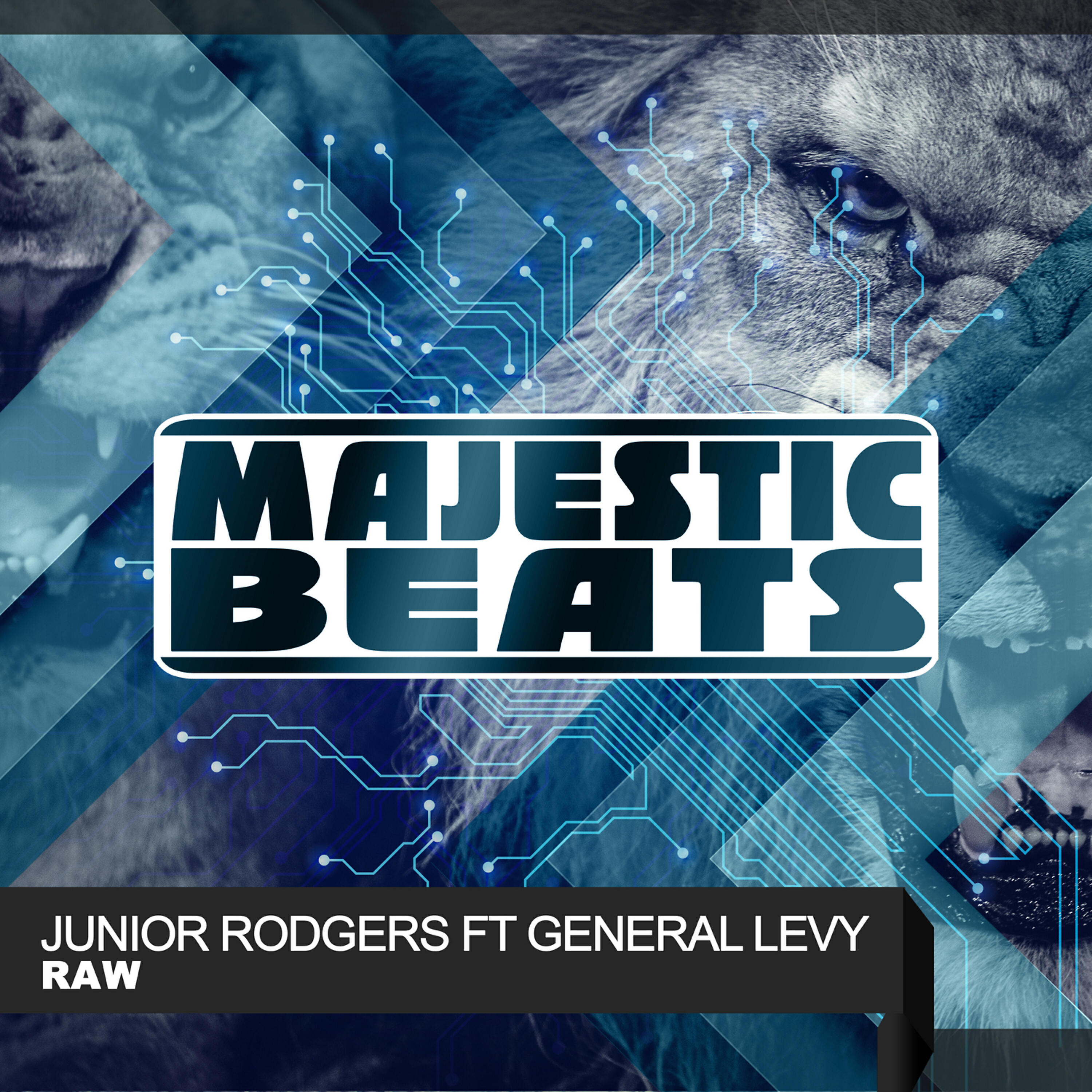 General Levy - Raw (Kriss-One Remix)