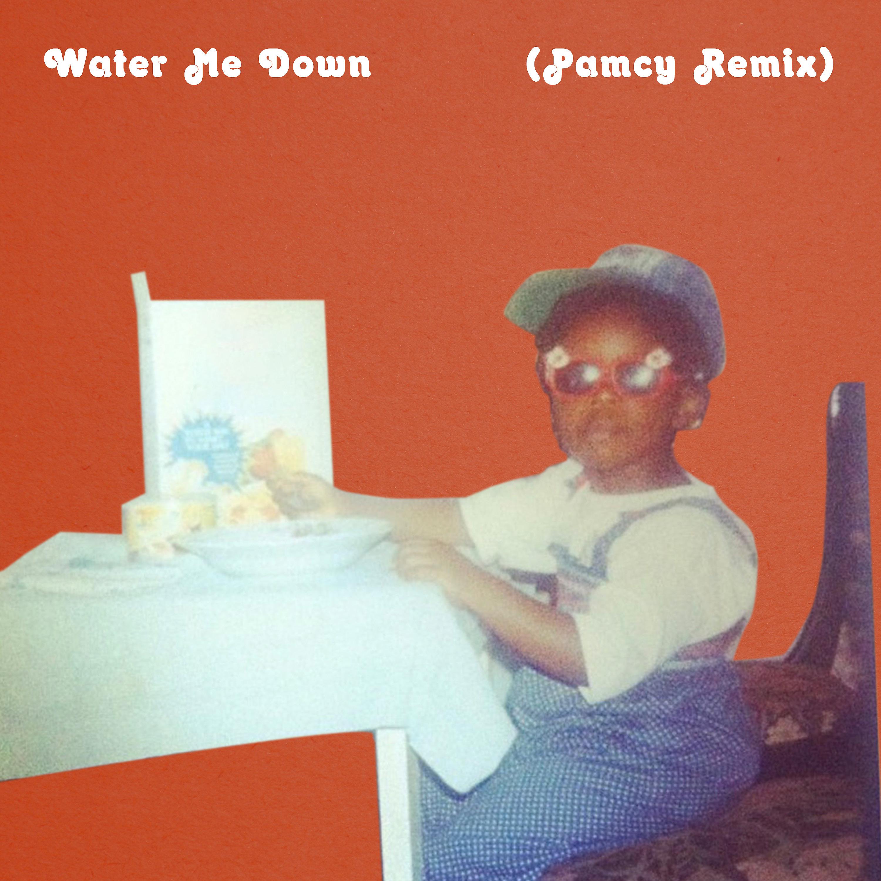 Постер альбома Water Me Down (Pamcy Remix)