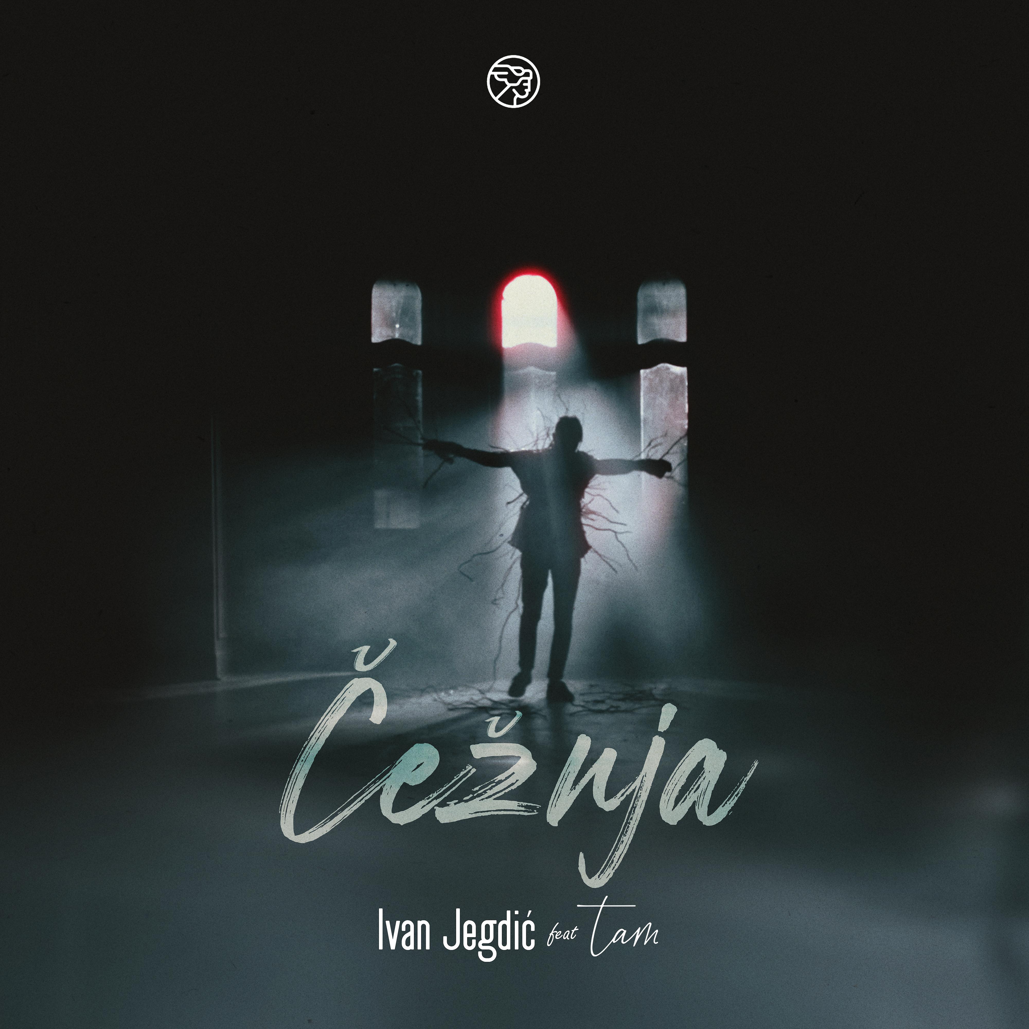 Постер альбома Čežnja (feat. tam)