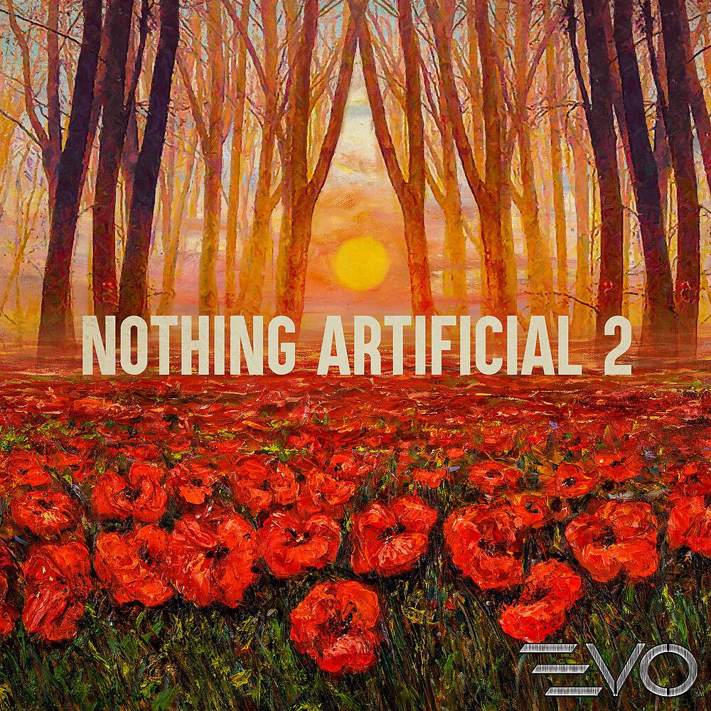 Постер альбома Nothing Artificial 2