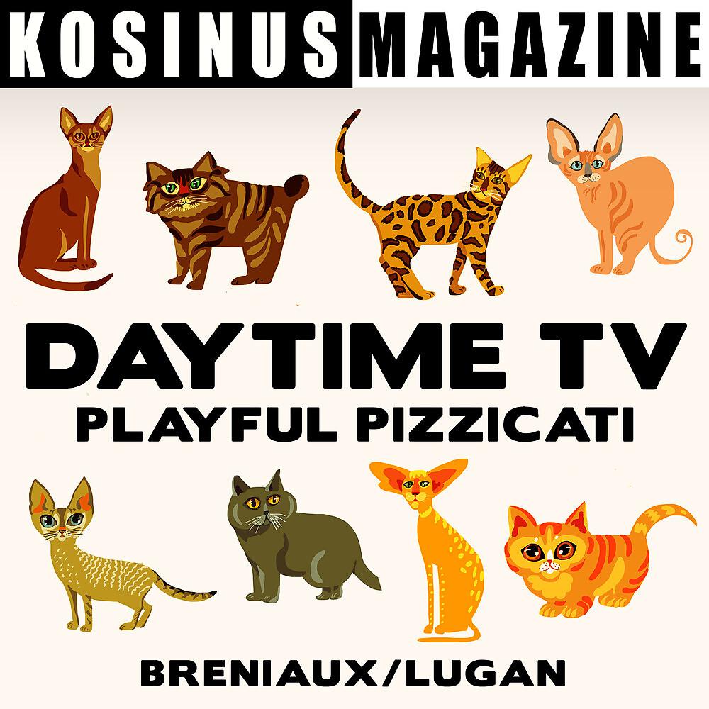 Постер альбома Daytime TV - Playful Pizzicati