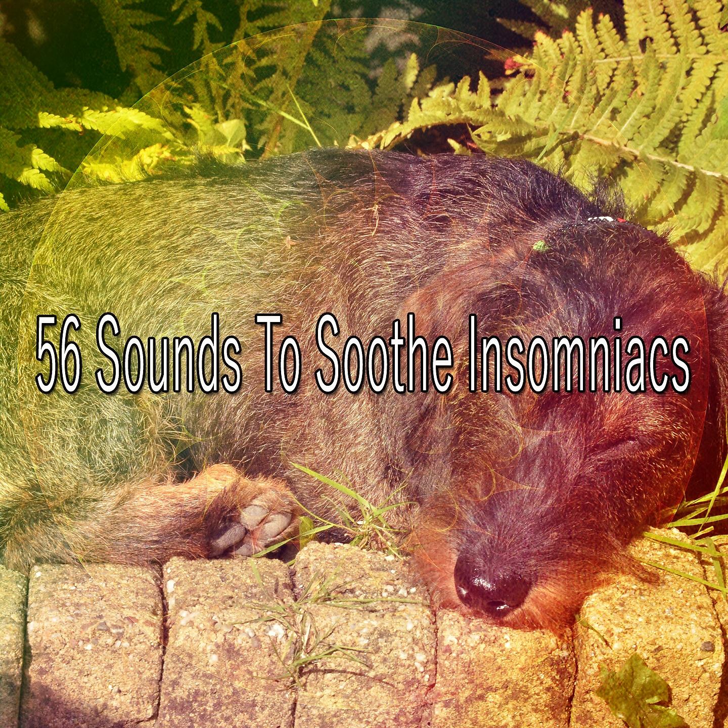 Rockabye Lullaby - Silky Smooth Sleep