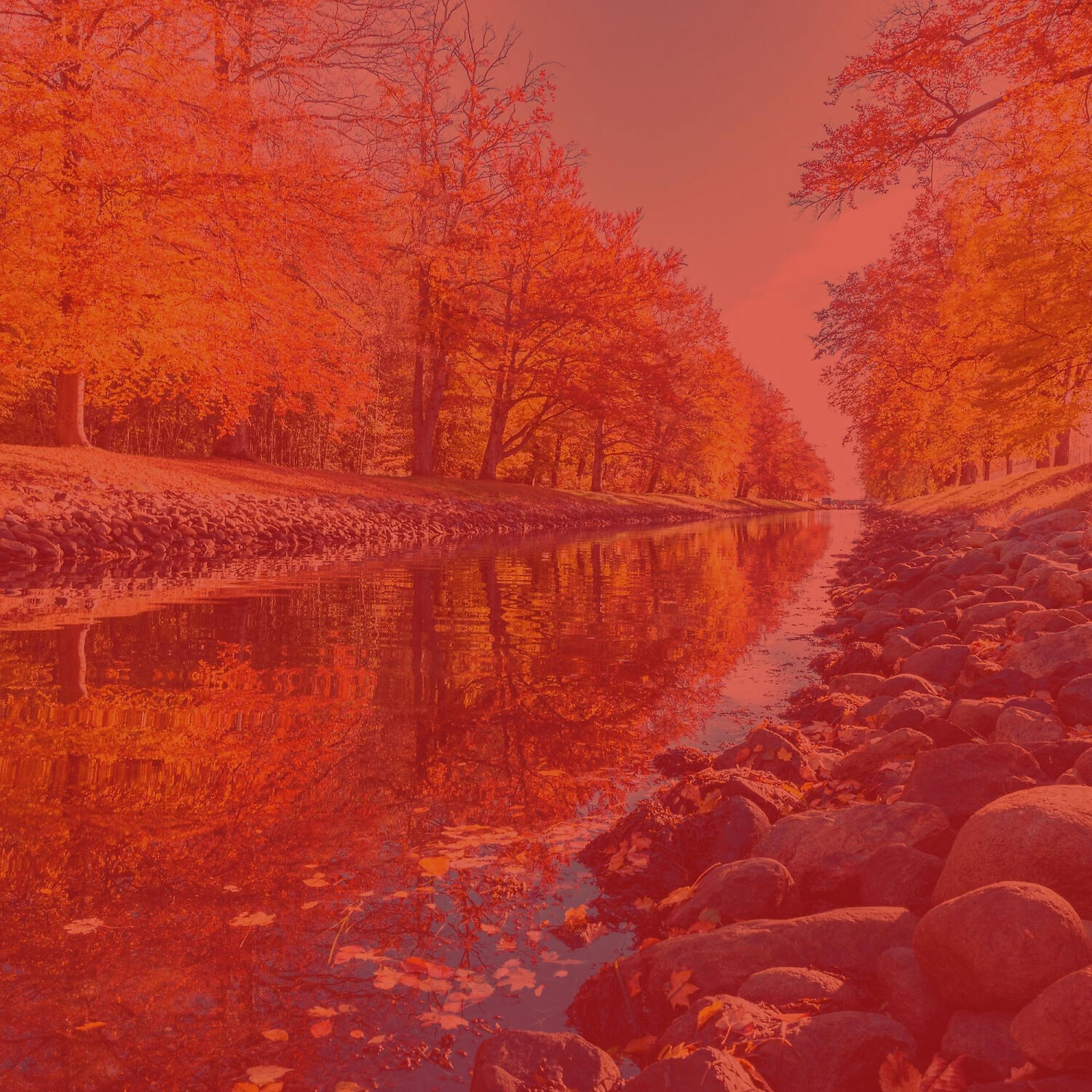 Saturday Morning Music Classics - Guitar Music Soundtrack for Relaxing Mornings