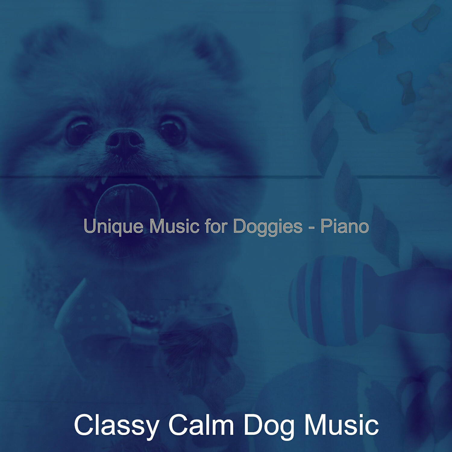 Classy Calm Dog Music - Wonderful Solo Piano Jazz - Vibe for Calming Pups