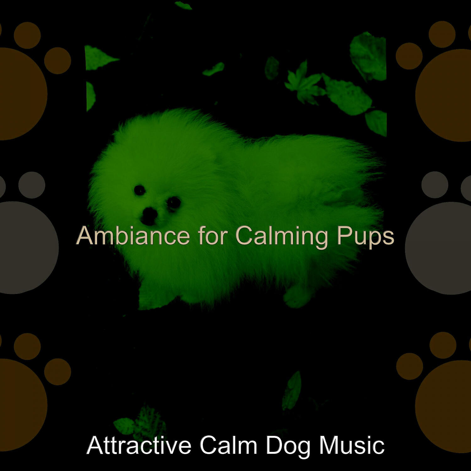 Attractive Calm Dog Music - Vintage Music for Calming Pups