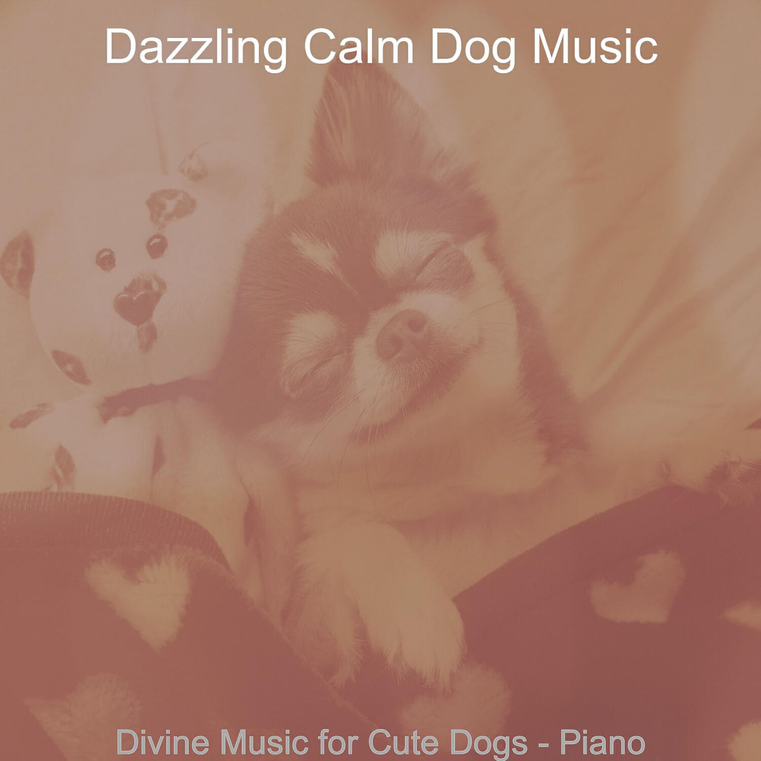 Dazzling Calm Dog Music - Excellent Backdrops for Cute Dogs