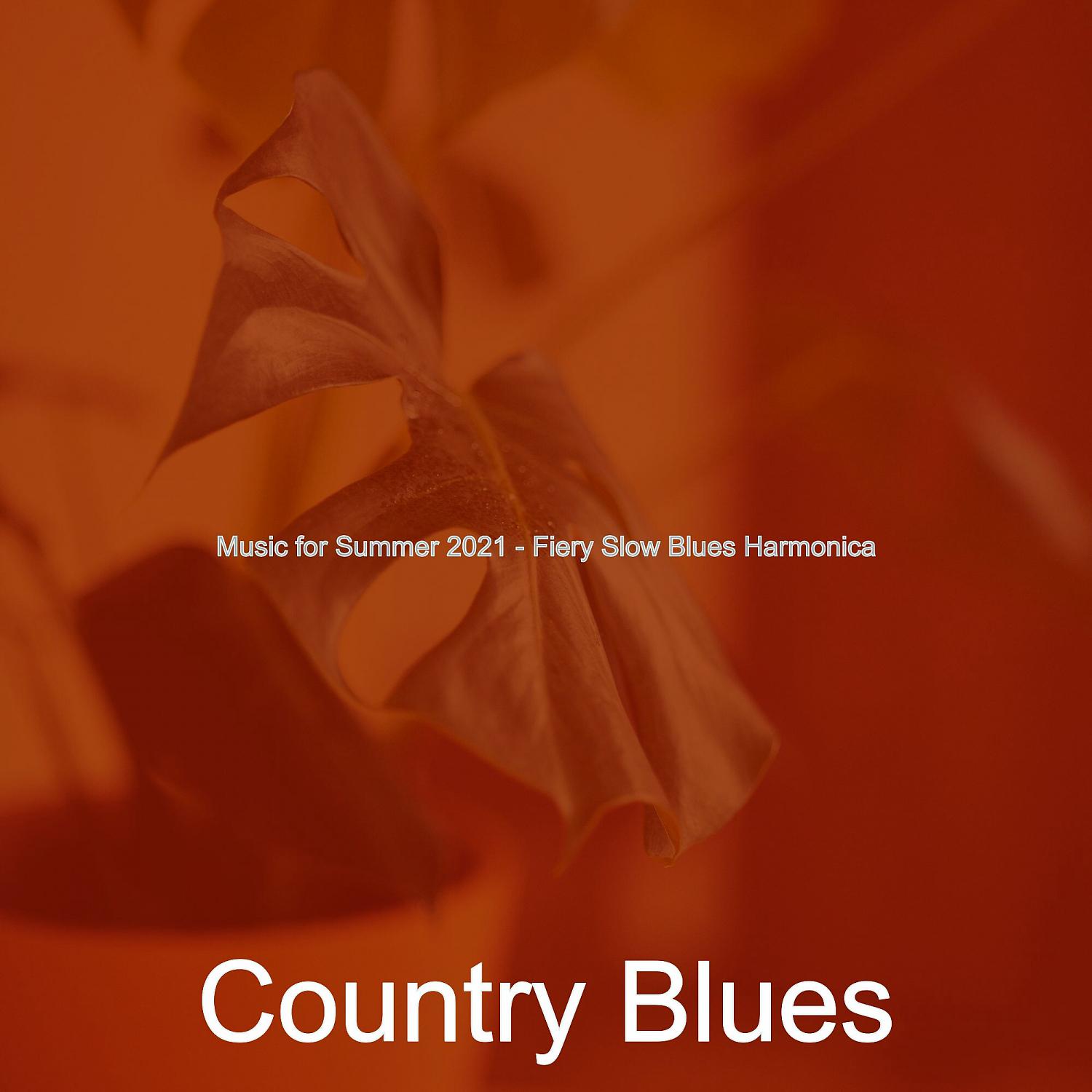 Постер альбома Music for Summer 2021 - Fiery Slow Blues Harmonica