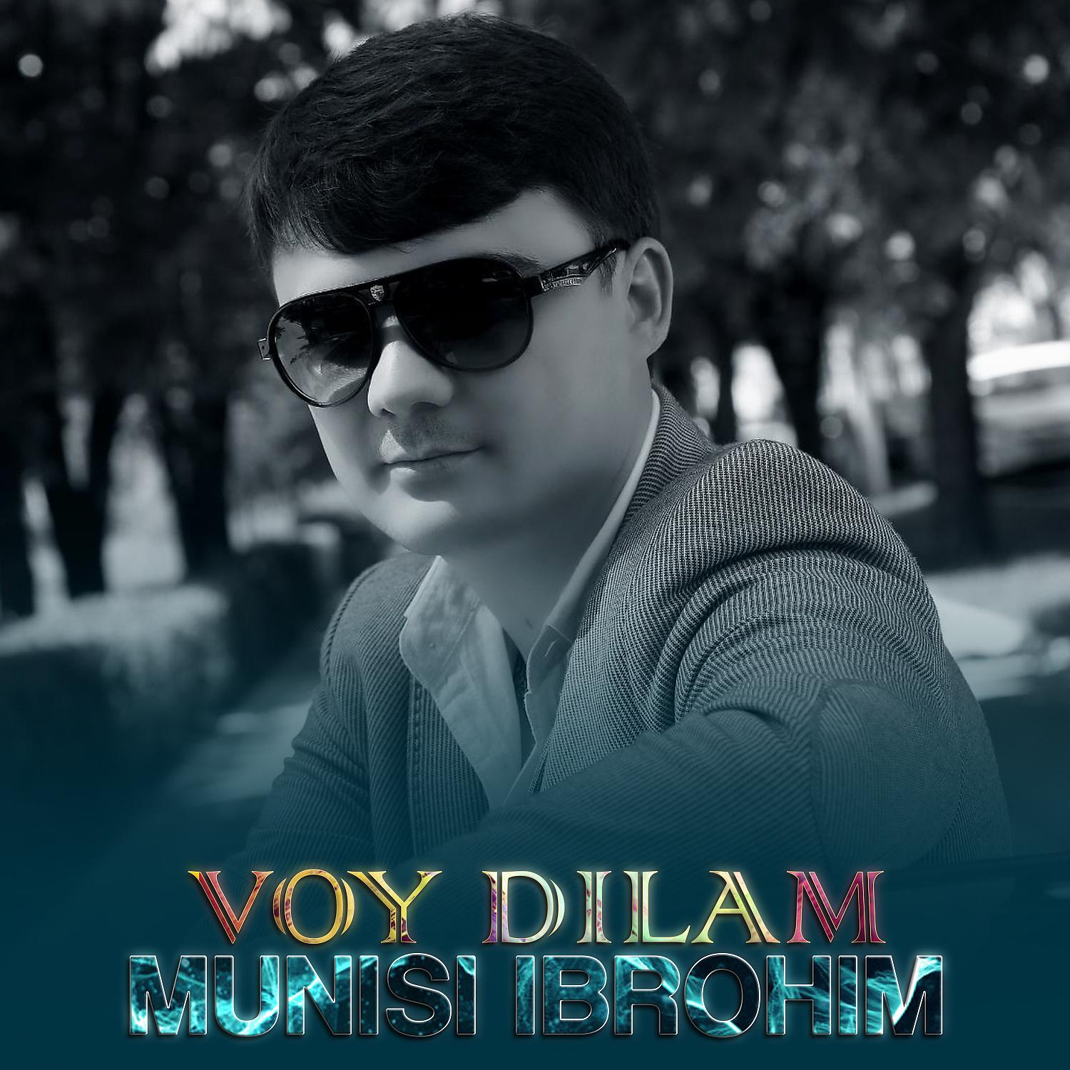 Постер альбома Voy dilam