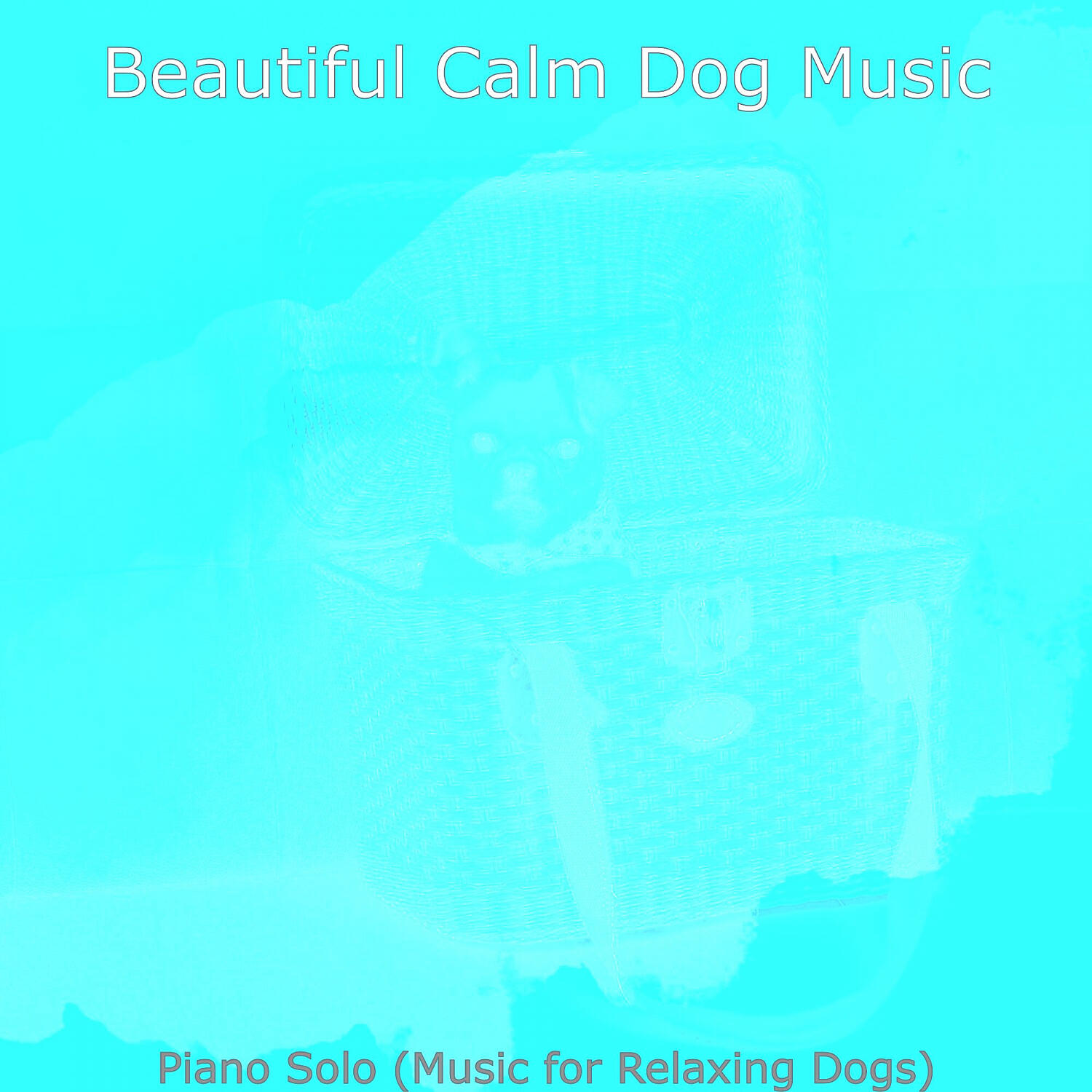 Beautiful Calm Dog Music - Sensational Solo Piano Jazz - Vibe for Relaxing Dogs