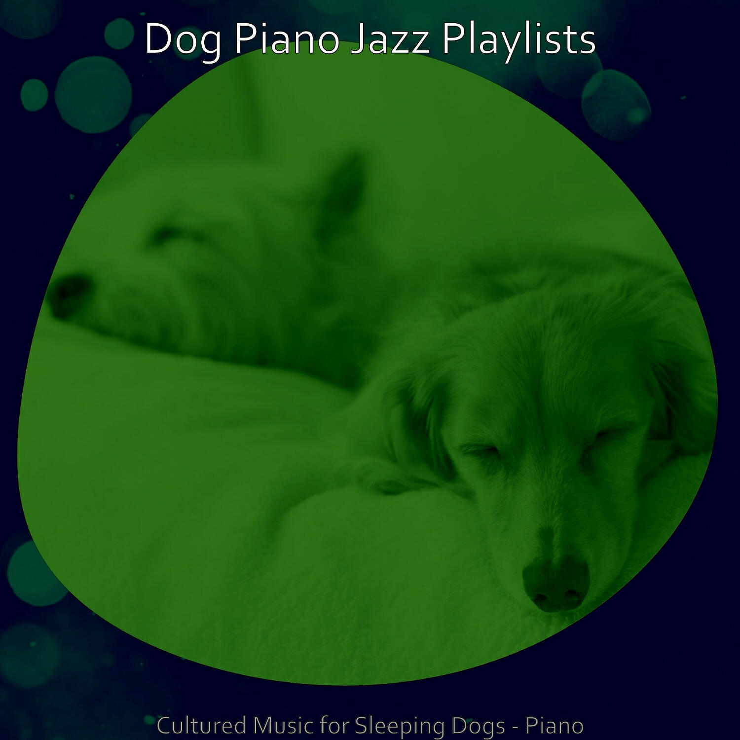 Dog Piano Jazz Playlists - Tremendous Ambience for Calming Your Dog