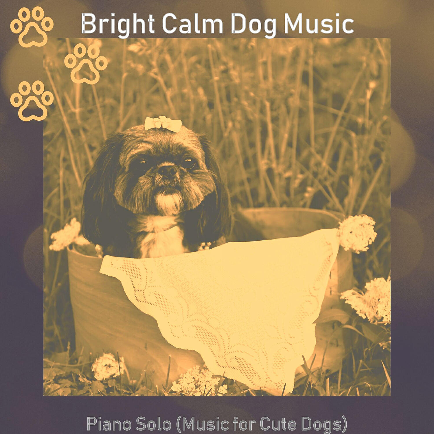 Bright Calm Dog Music - Incredible Ambience for Relaxing Dogs