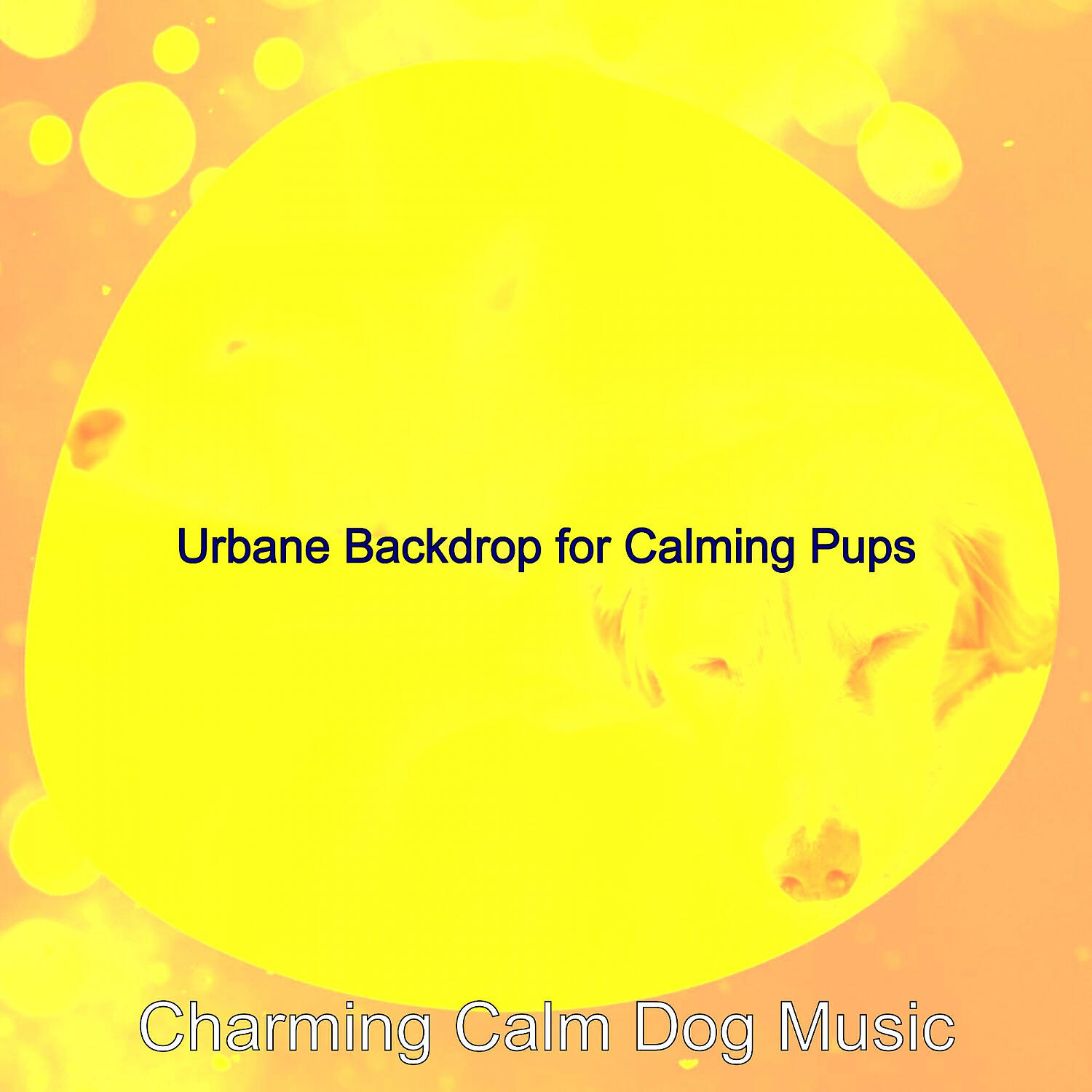 Charming Calm Dog Music - Smoky Solo Piano Jazz - Vibe for Cute Dogs