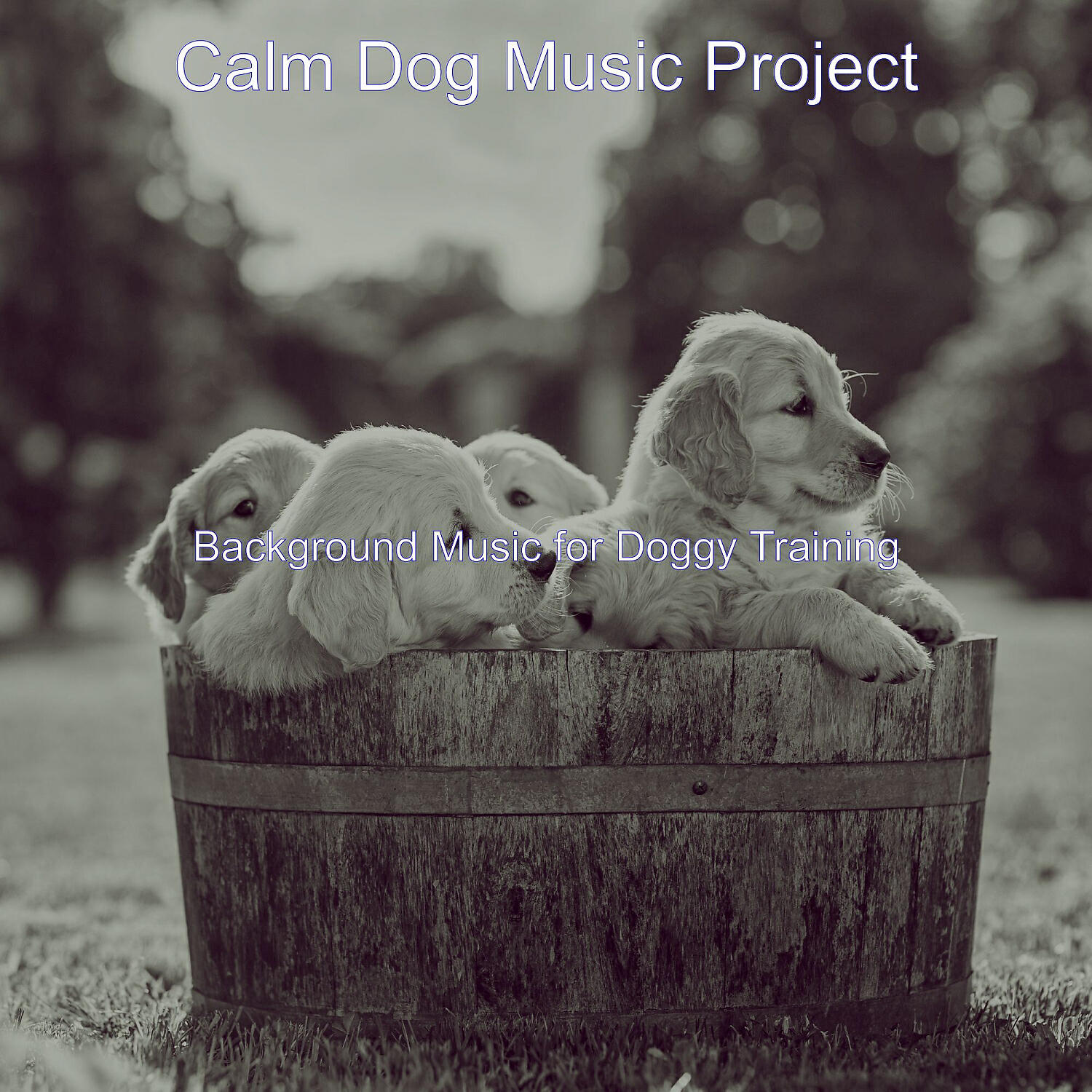 Calm Dog Music Project - Sparkling Solo Piano Jazz - Vibe for Doggies