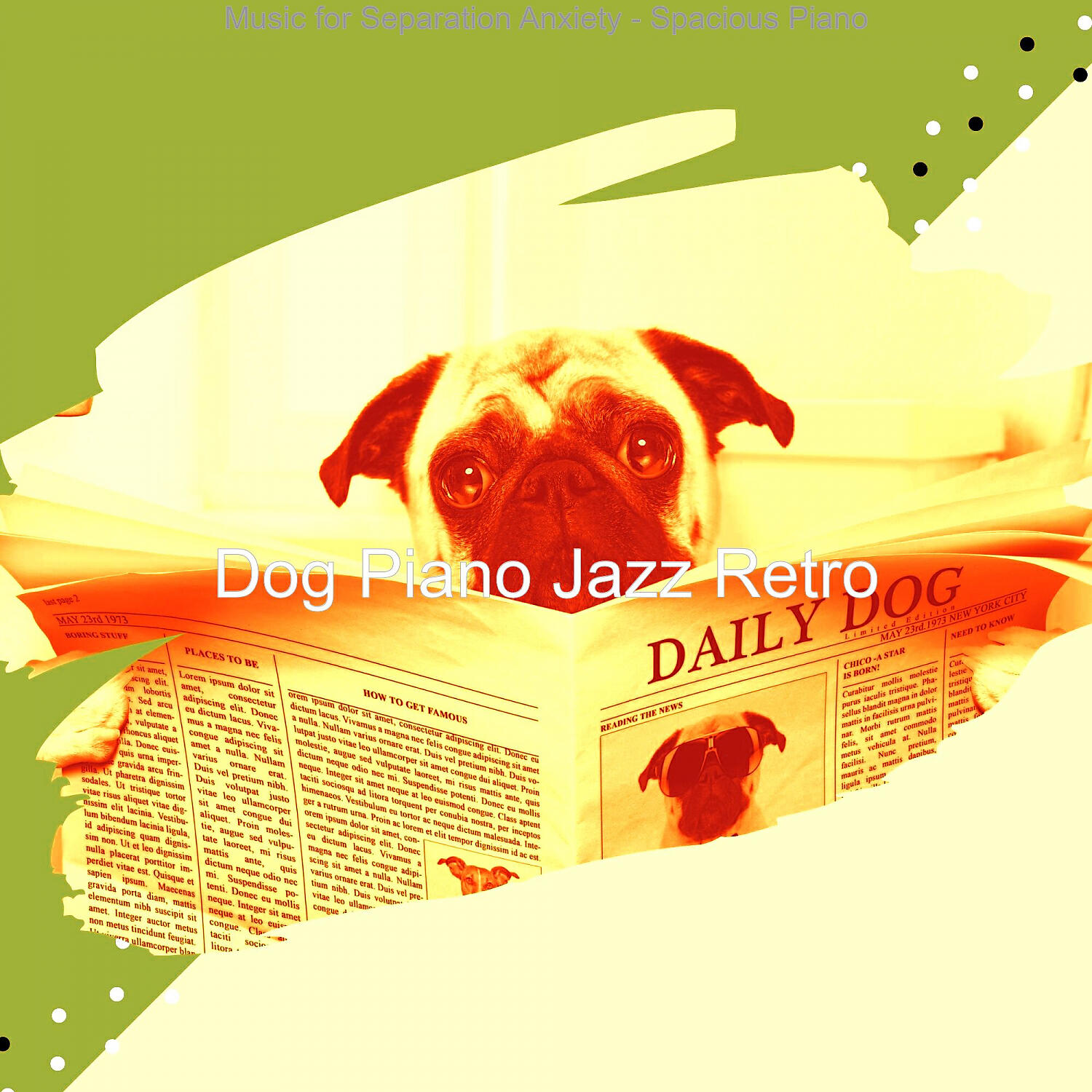 Dog Piano Jazz Retro - Inspired Ambiance for Quiet Puppies