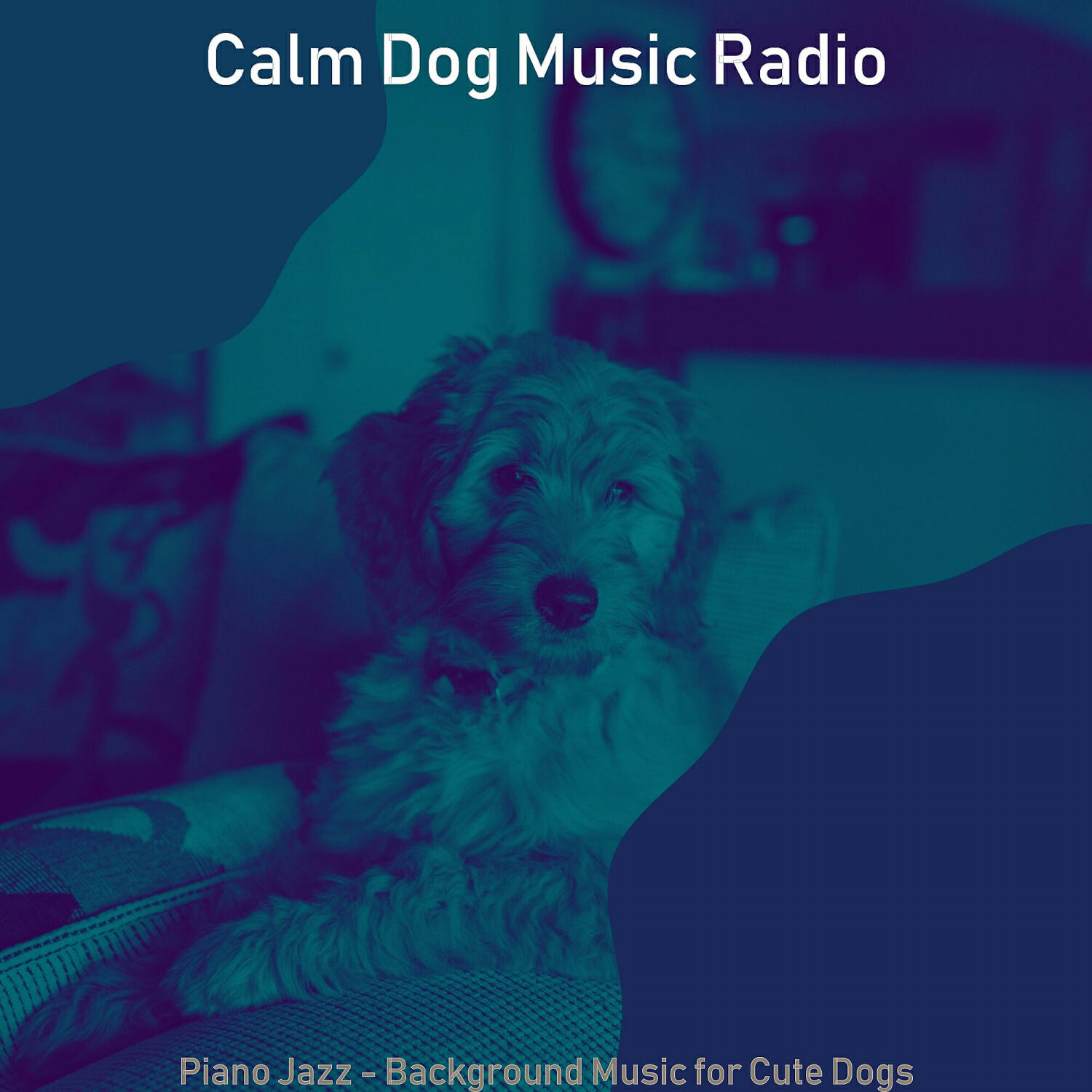 Calm Dog Music Radio - Relaxed Ambience for Doggies