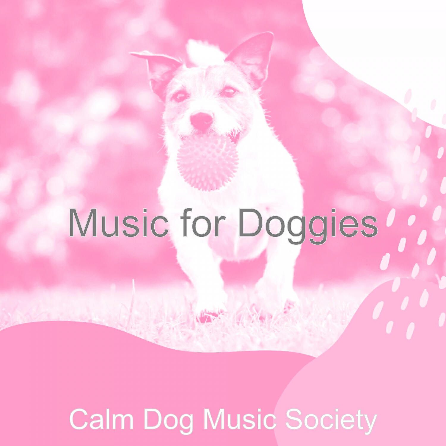 Calm Dog Music Society - Remarkable Music for Relaxing Dogs