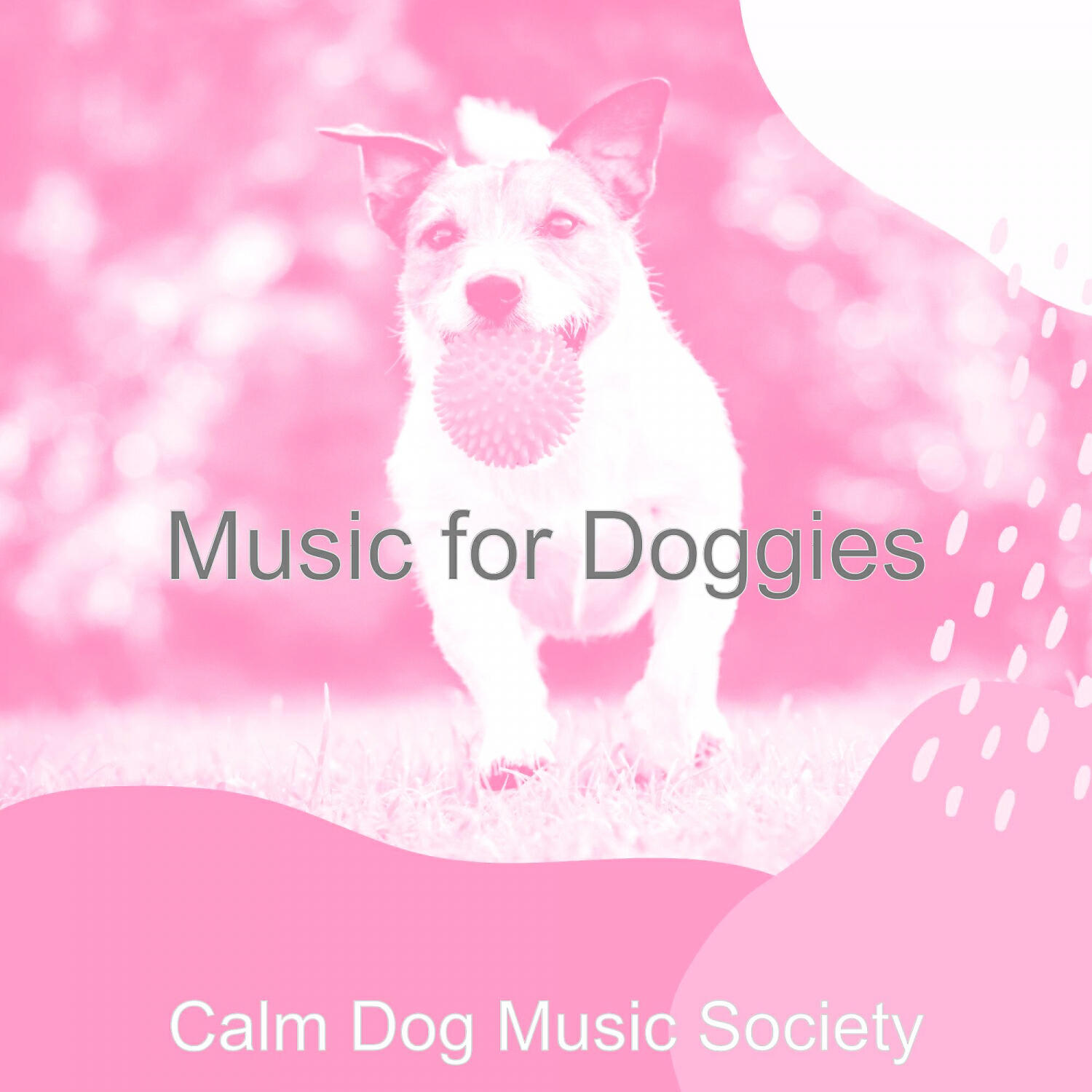 Calm Dog Music Society - Tasteful Solo Piano Jazz - Vibe for Relaxing Dogs