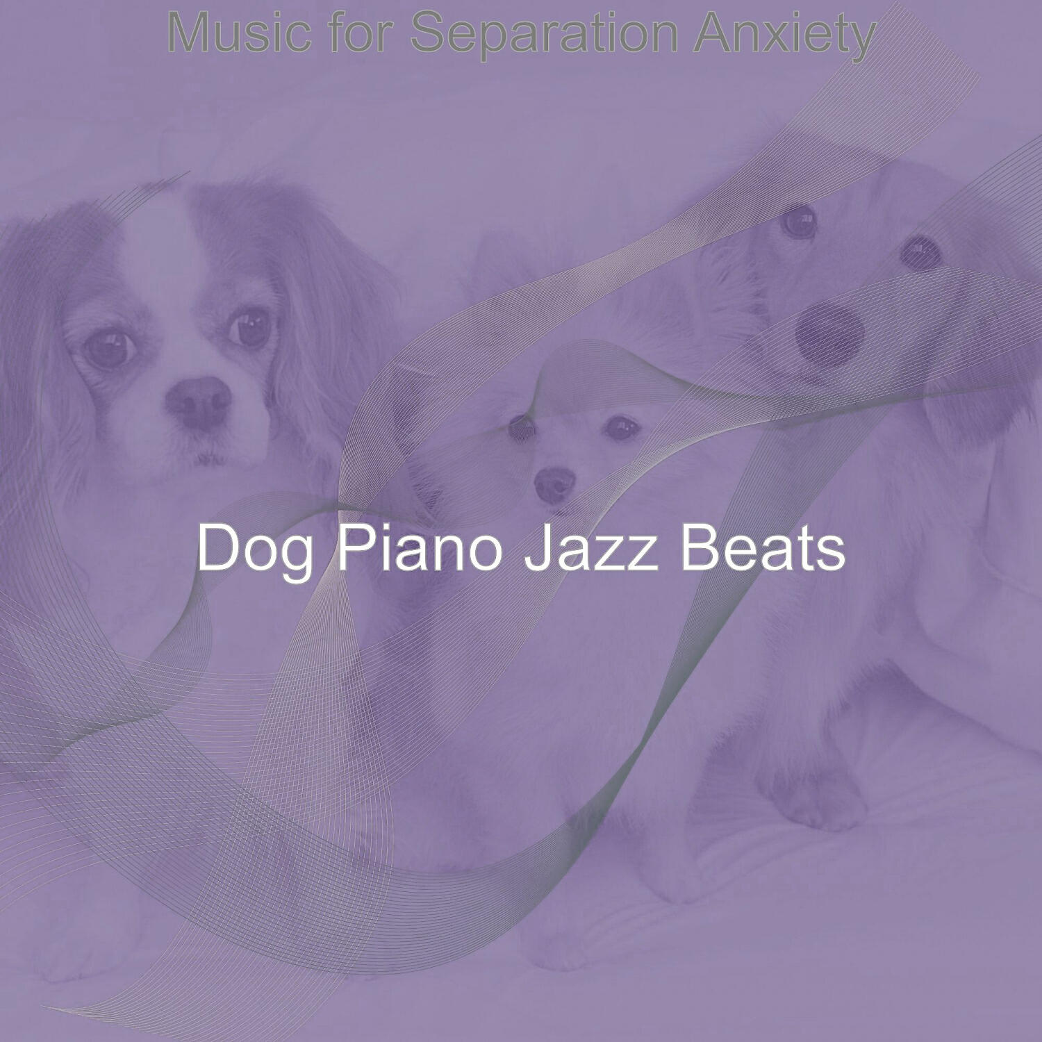 Dog Piano Jazz Beats - Groovy Solo Piano Jazz - Vibe for Keeping Dogs Relaxed