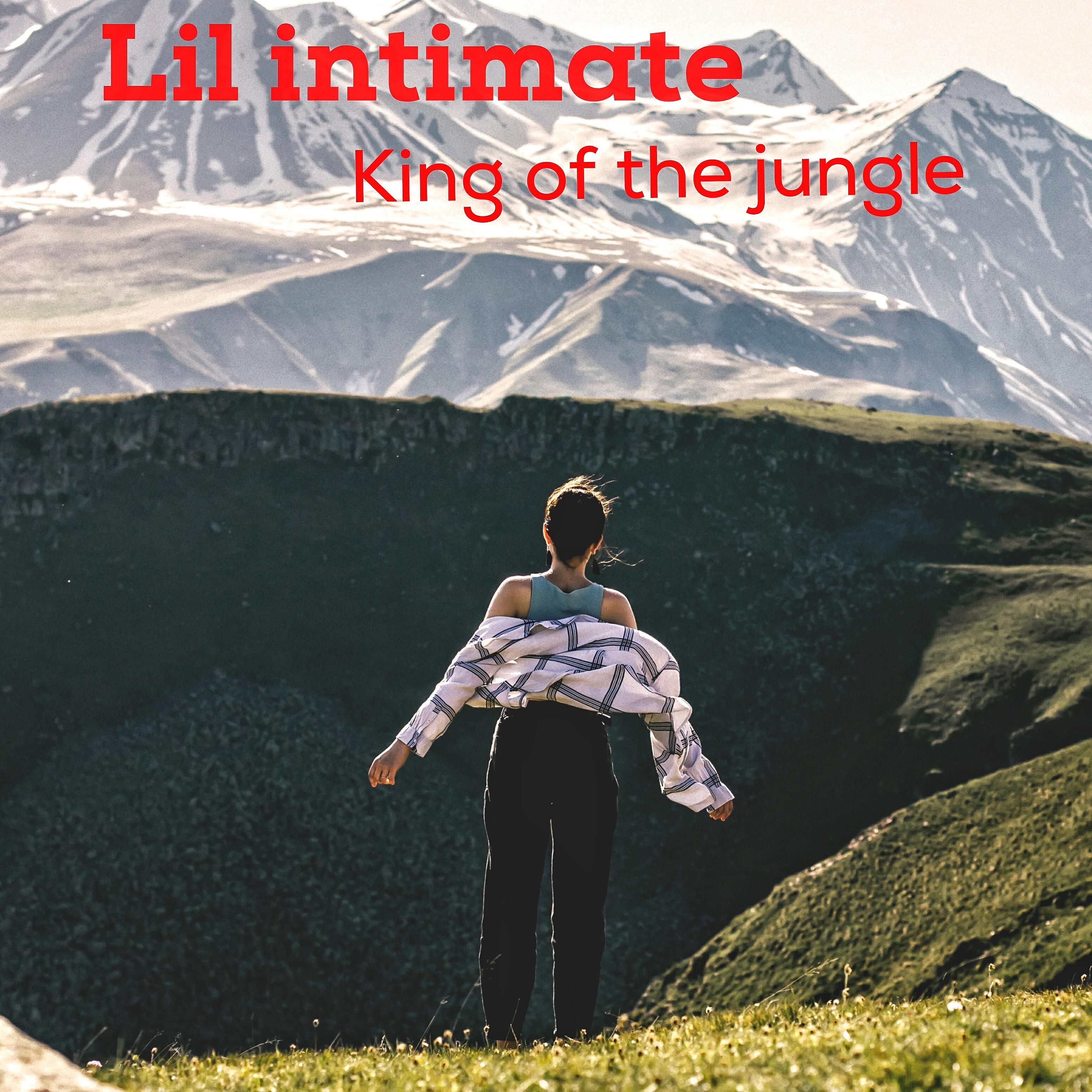 lil intimate - The Police