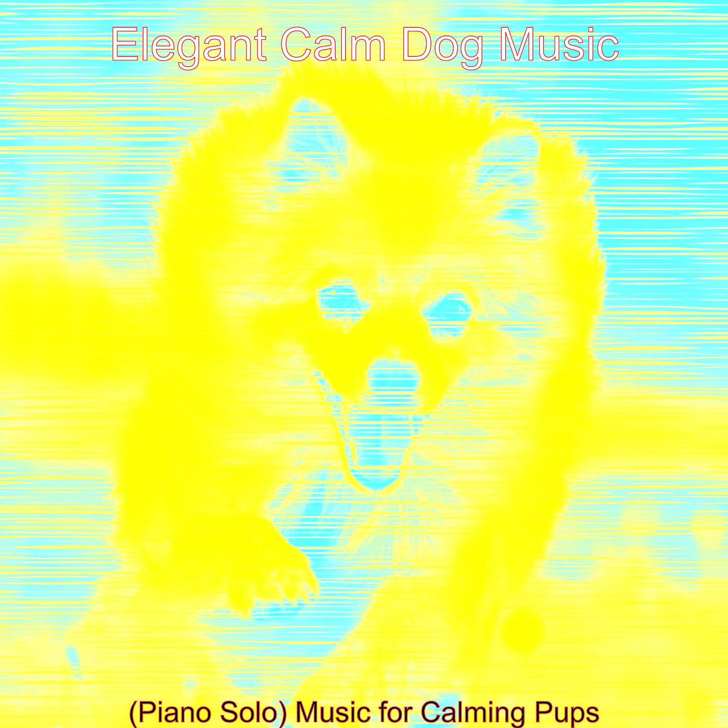 Elegant Calm Dog Music - Charming Moods for Relaxing Dogs