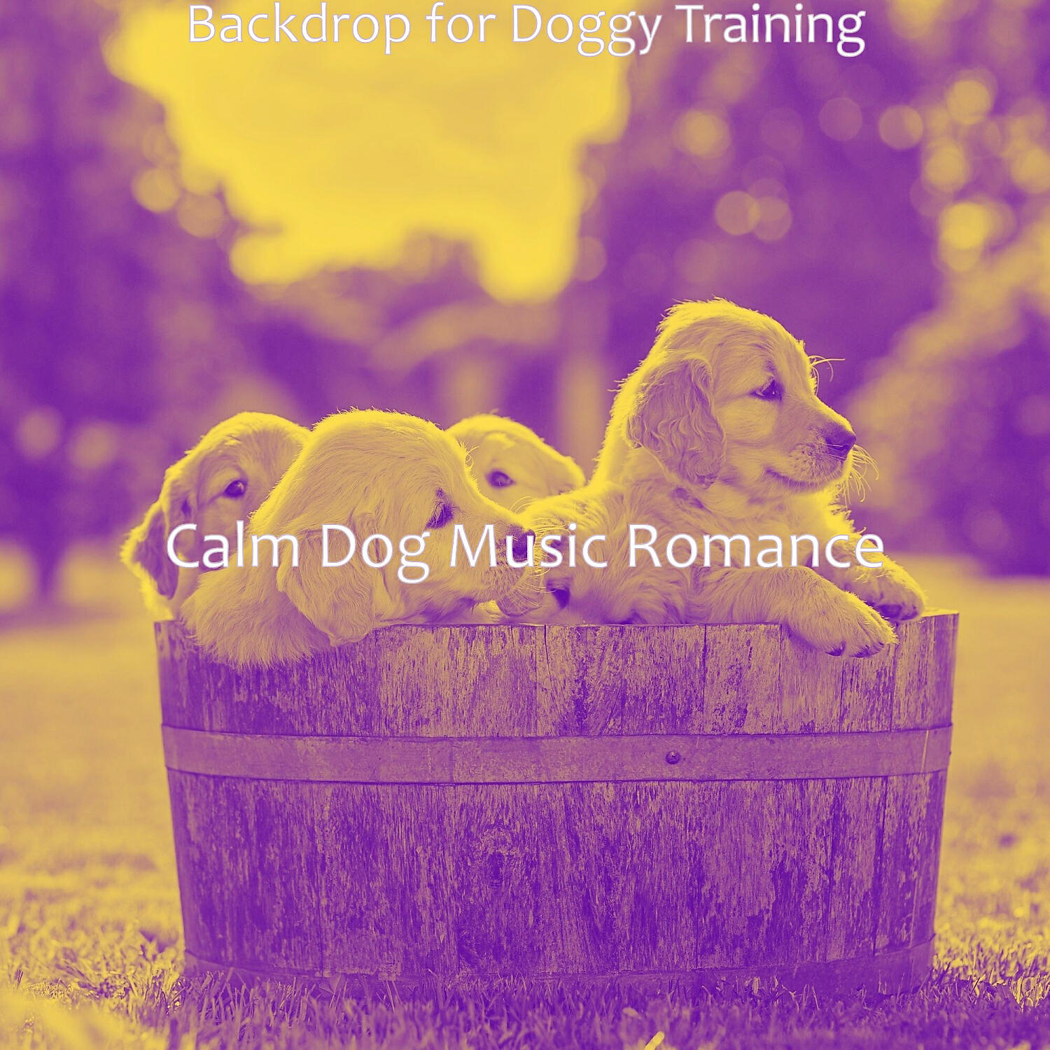 Calm Dog Music Romance - Spectacular Backdrops for Doggies
