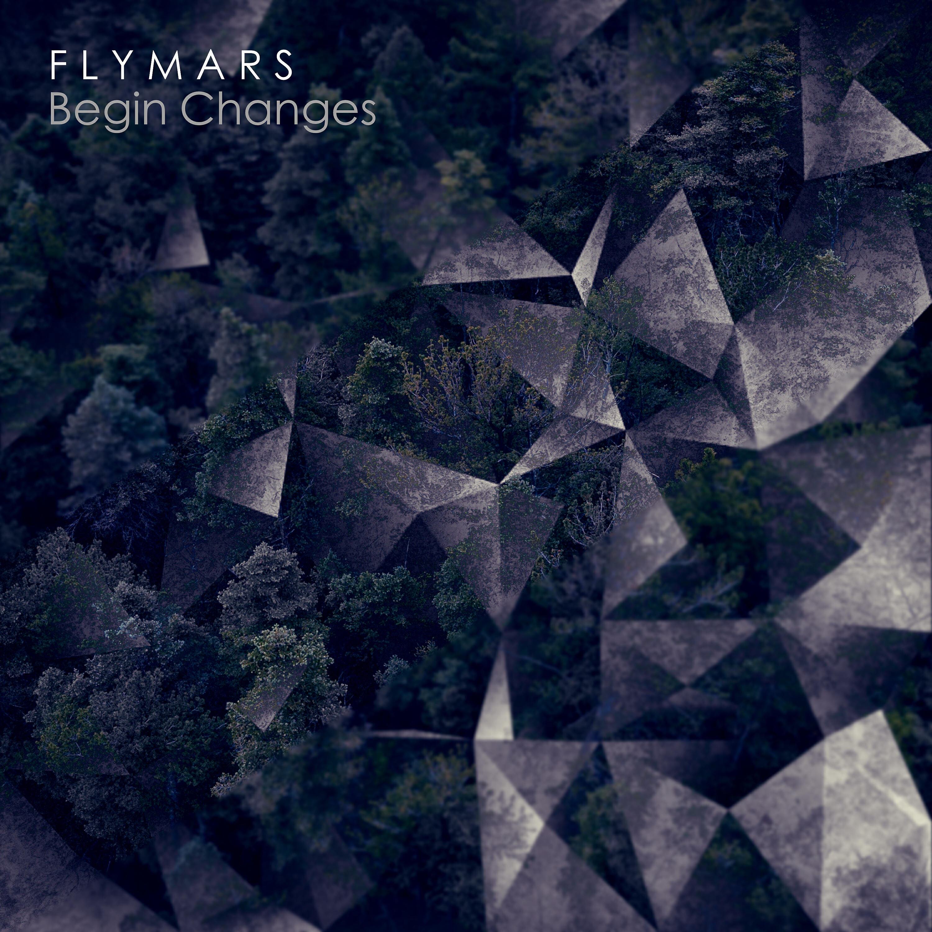 Flymars - T.I.Y