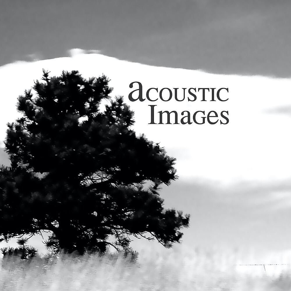 Постер альбома Acoustic Images