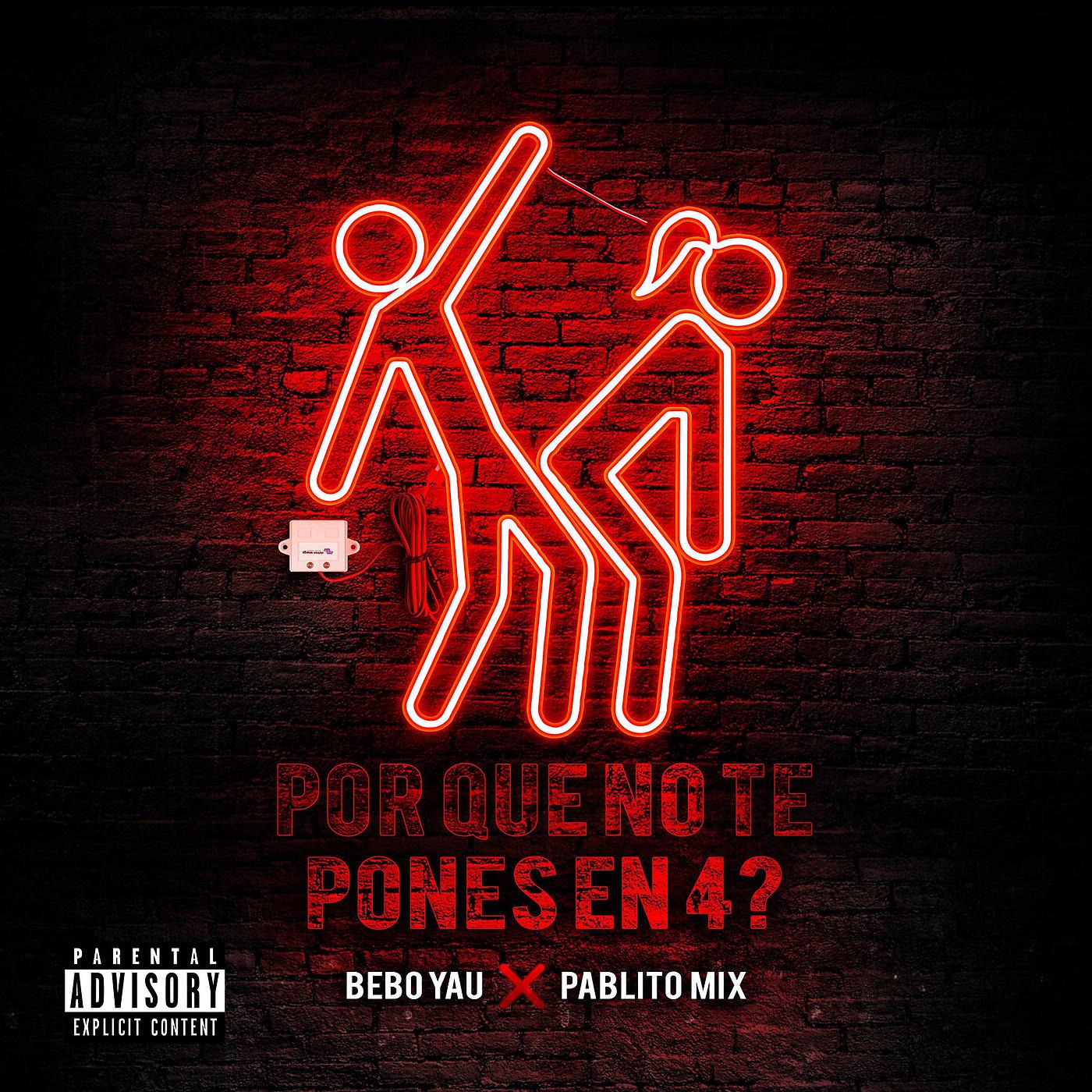 Постер альбома Por Que No Te Pones En 4?