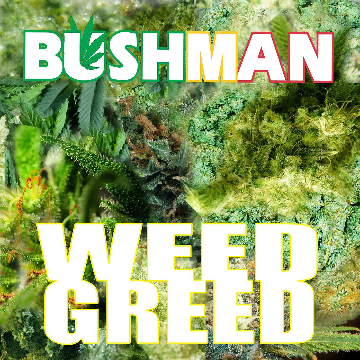Постер альбома Weed Greed