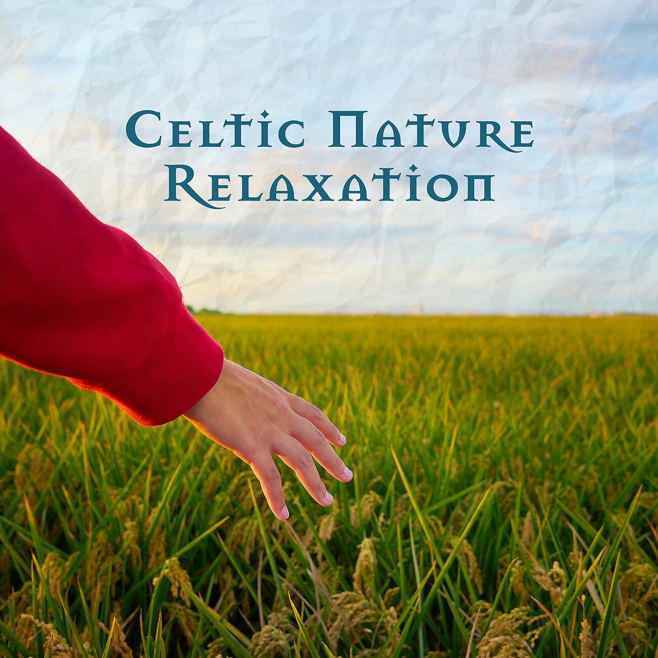 Celtic Chillout Relaxation Academy - Celtic Symphony