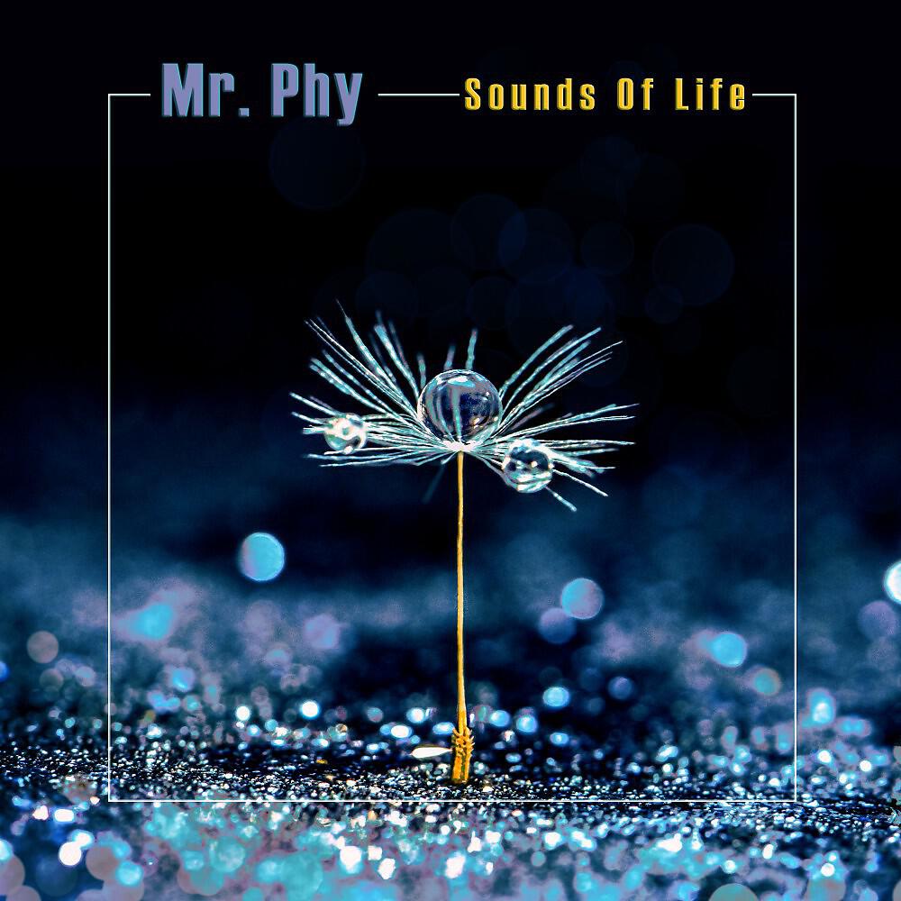 Mr. Phy - Grogui
