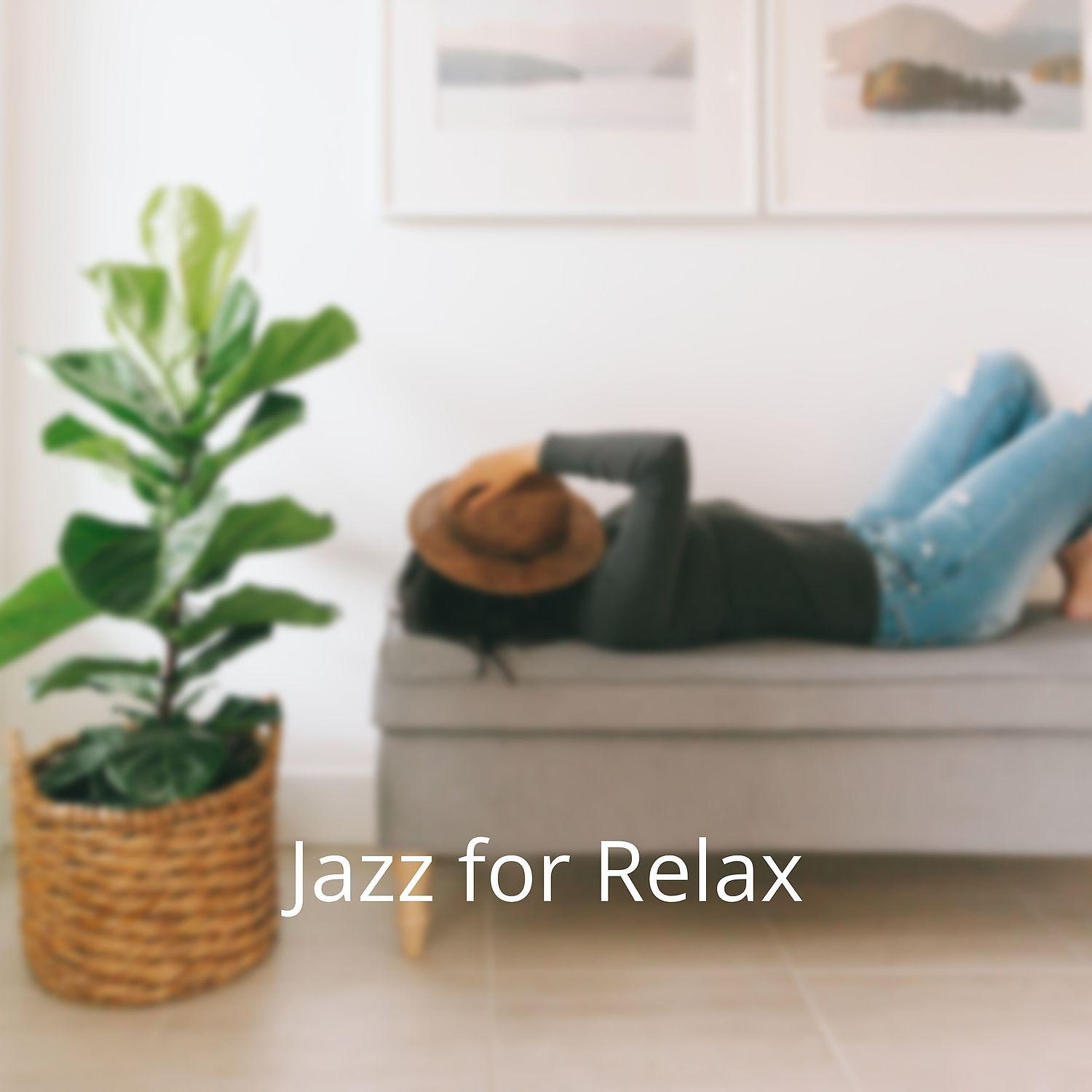 Постер альбома Exquisite Instrumental Jazz for Relax