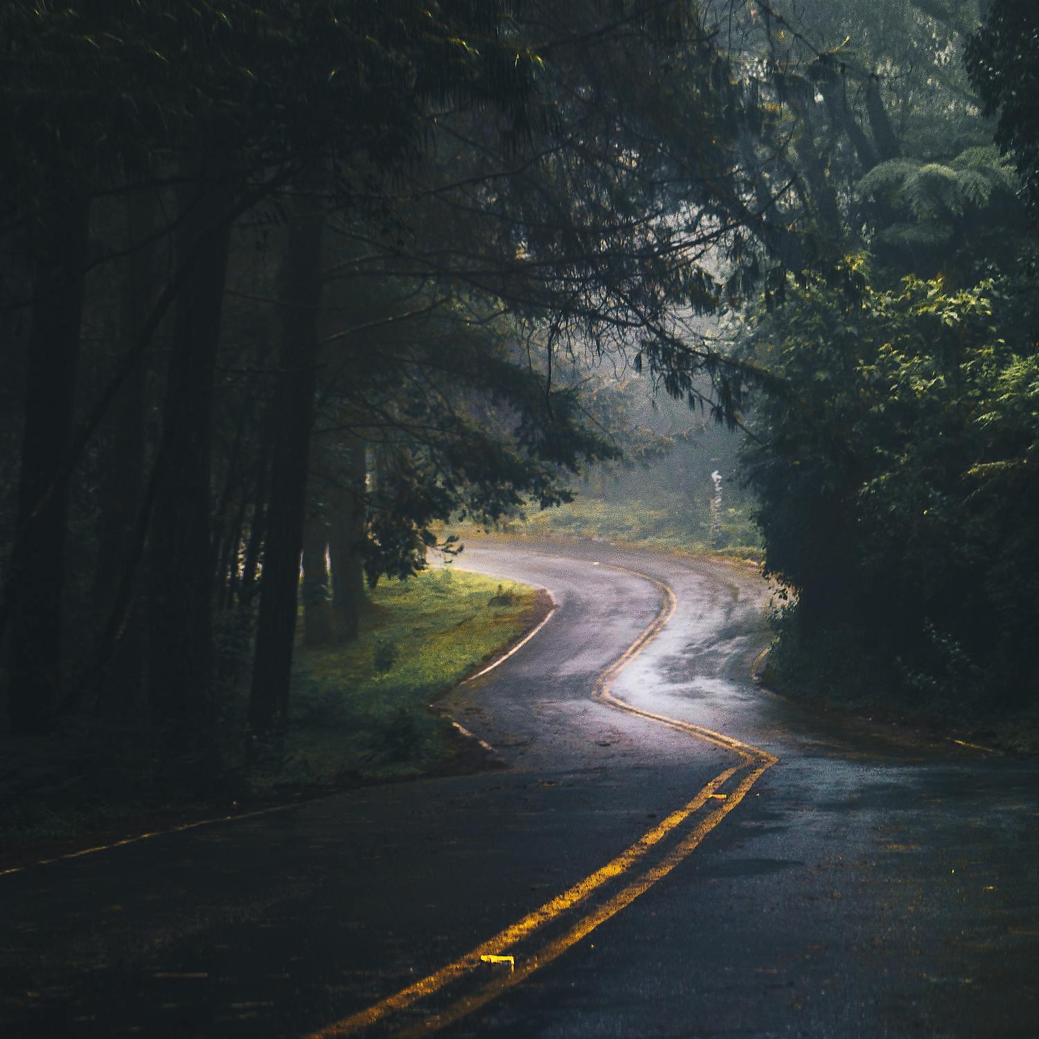 Lowly Soughs of Car Rain for Babies - Relaxing Car Restful Rain Sounds
