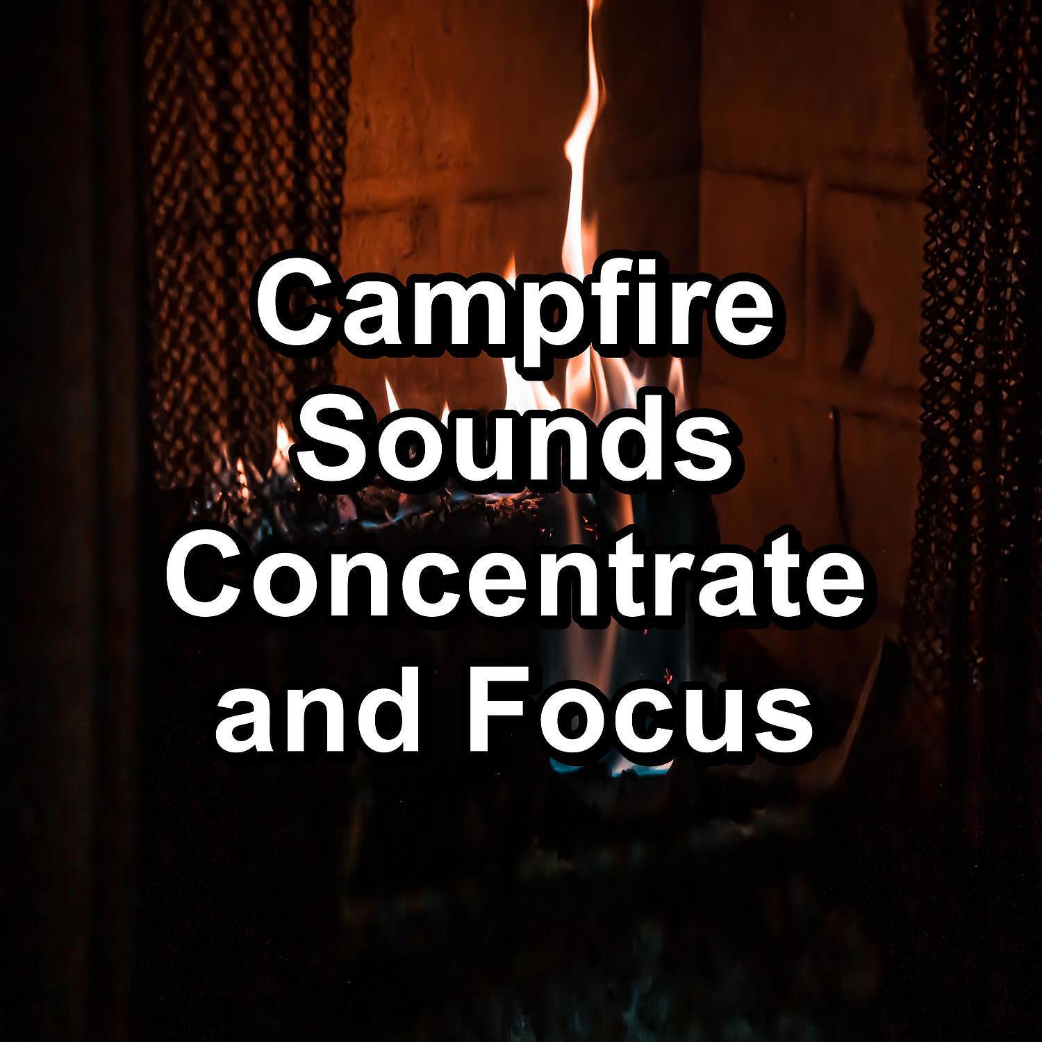 Постер альбома Campfire Sounds Concentrate and Focus