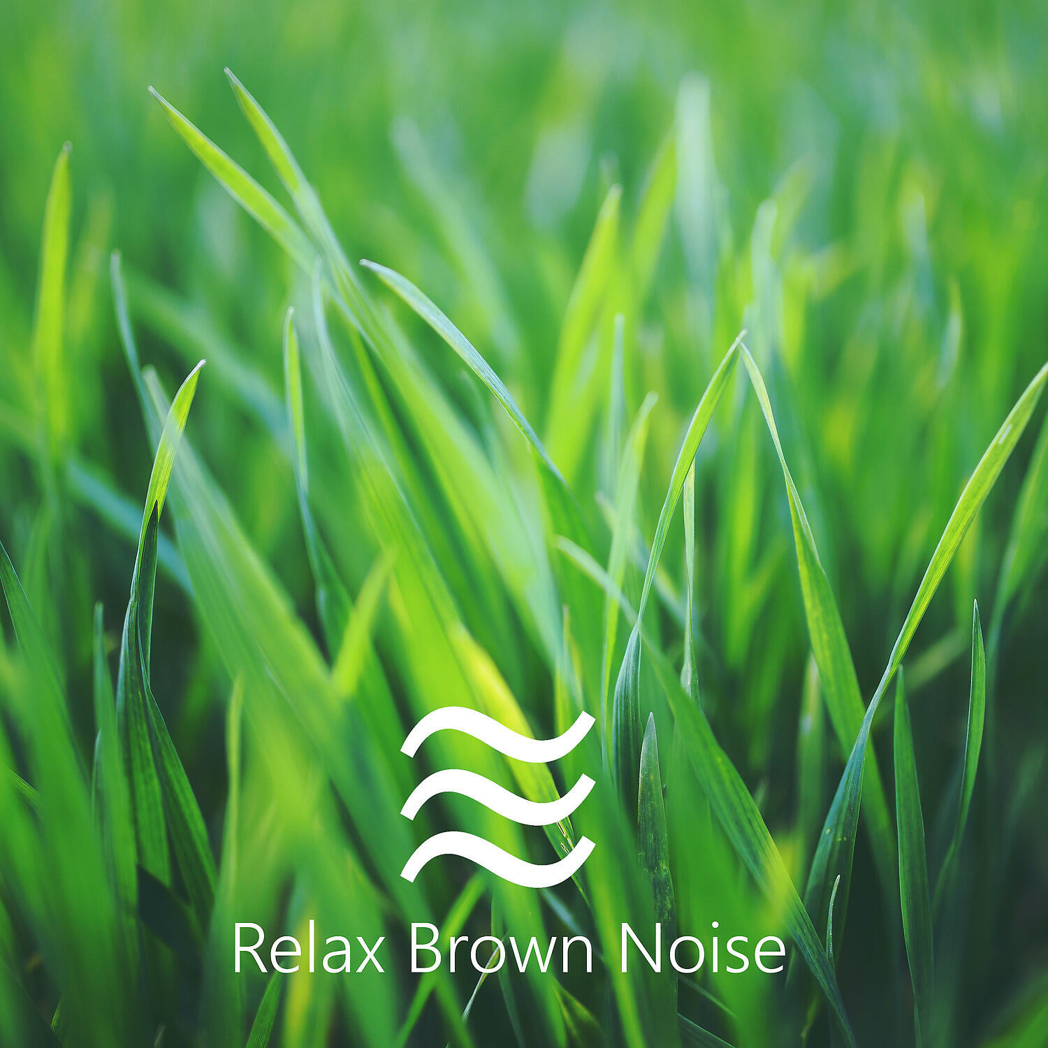 Calm Noise for Baby Sleeping - Easy Womb Sound to Relax