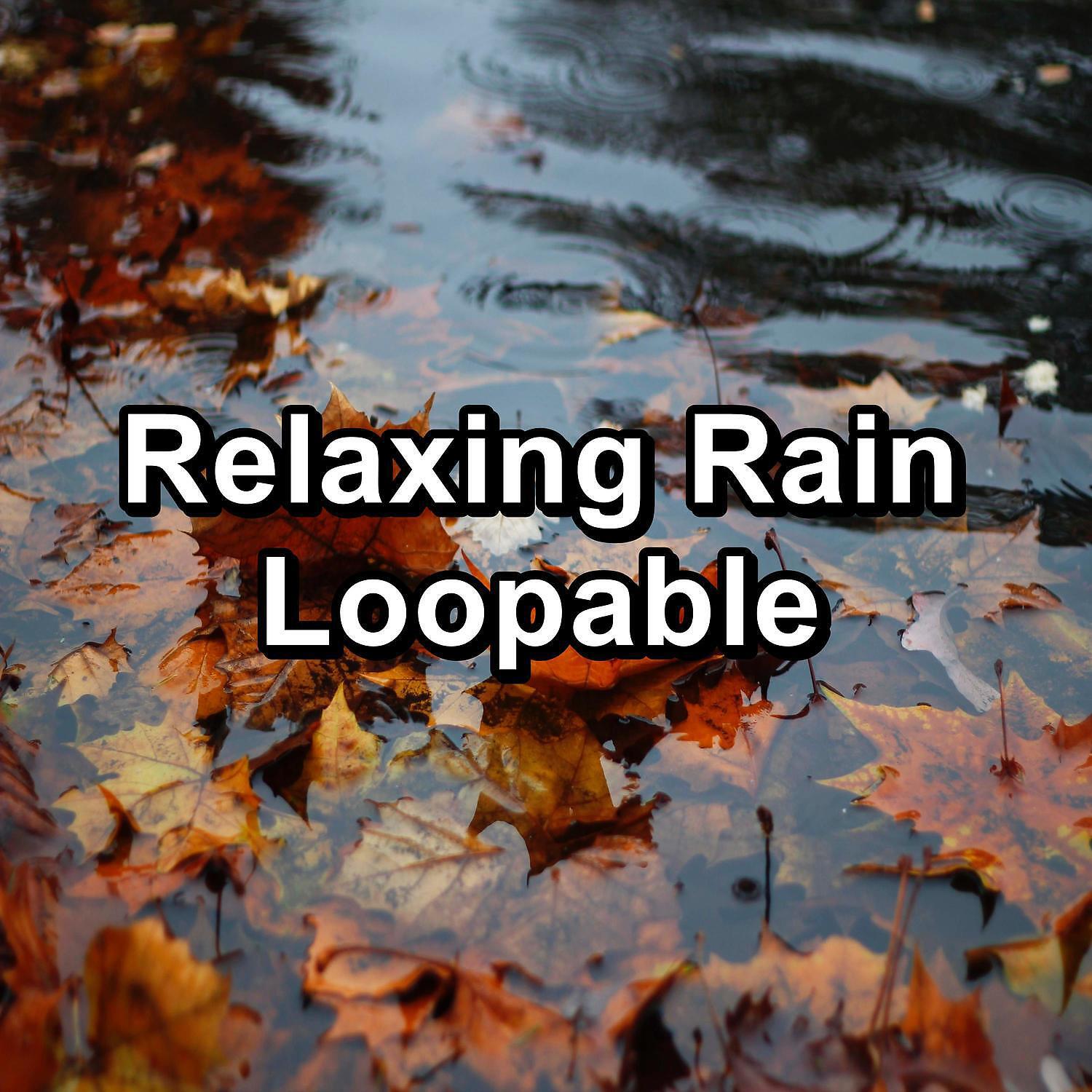 Nature and Rain - Gentle Rain on a Tin Roof To Sleep with for 8 Hours