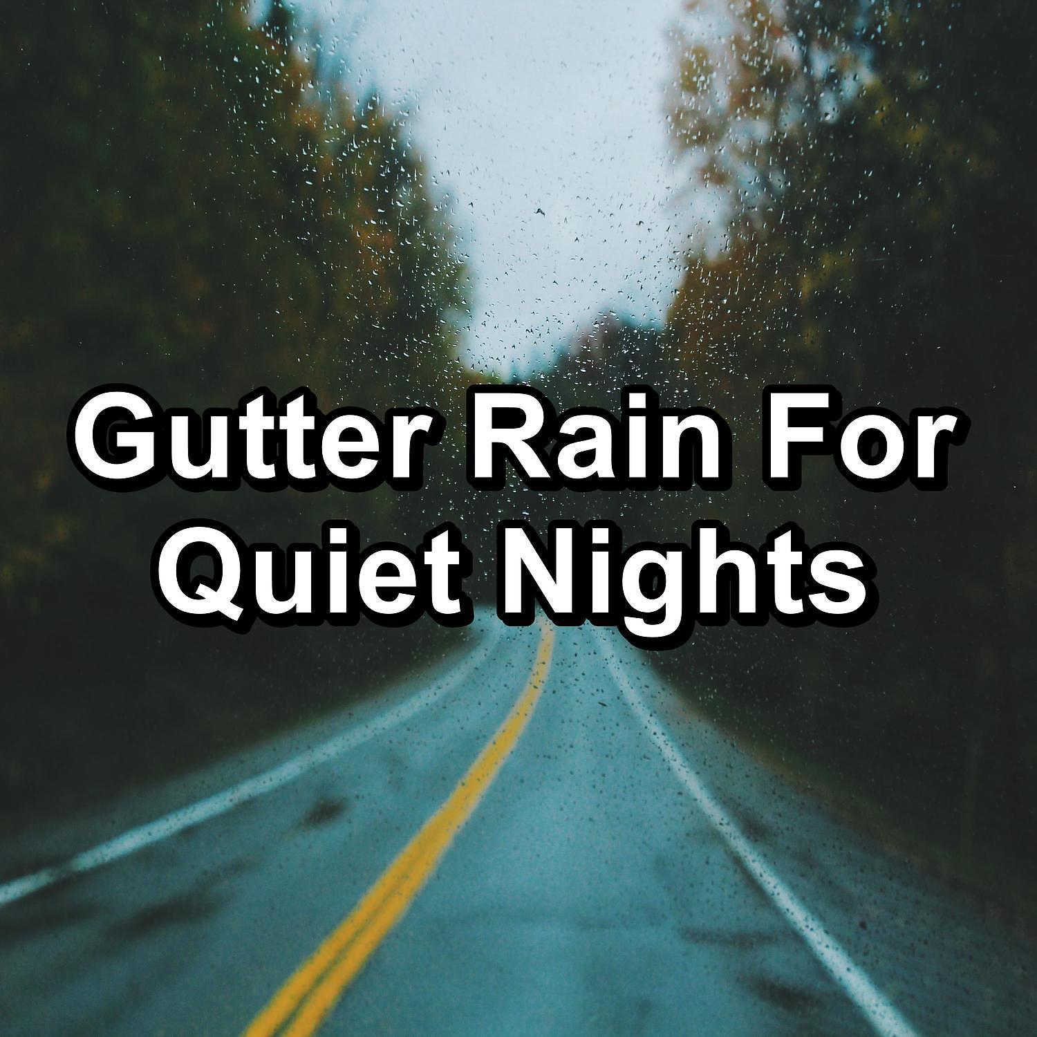 Постер альбома Gutter Rain For Quiet Nights