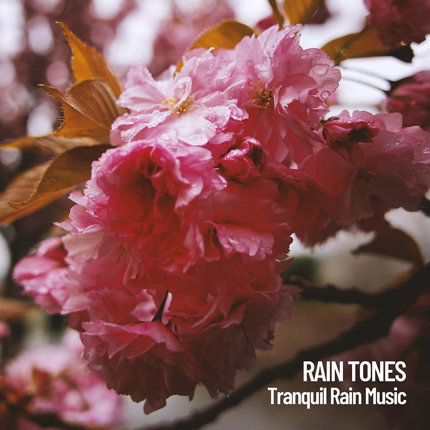 Rain Sounds FX - Rainy Happy Days