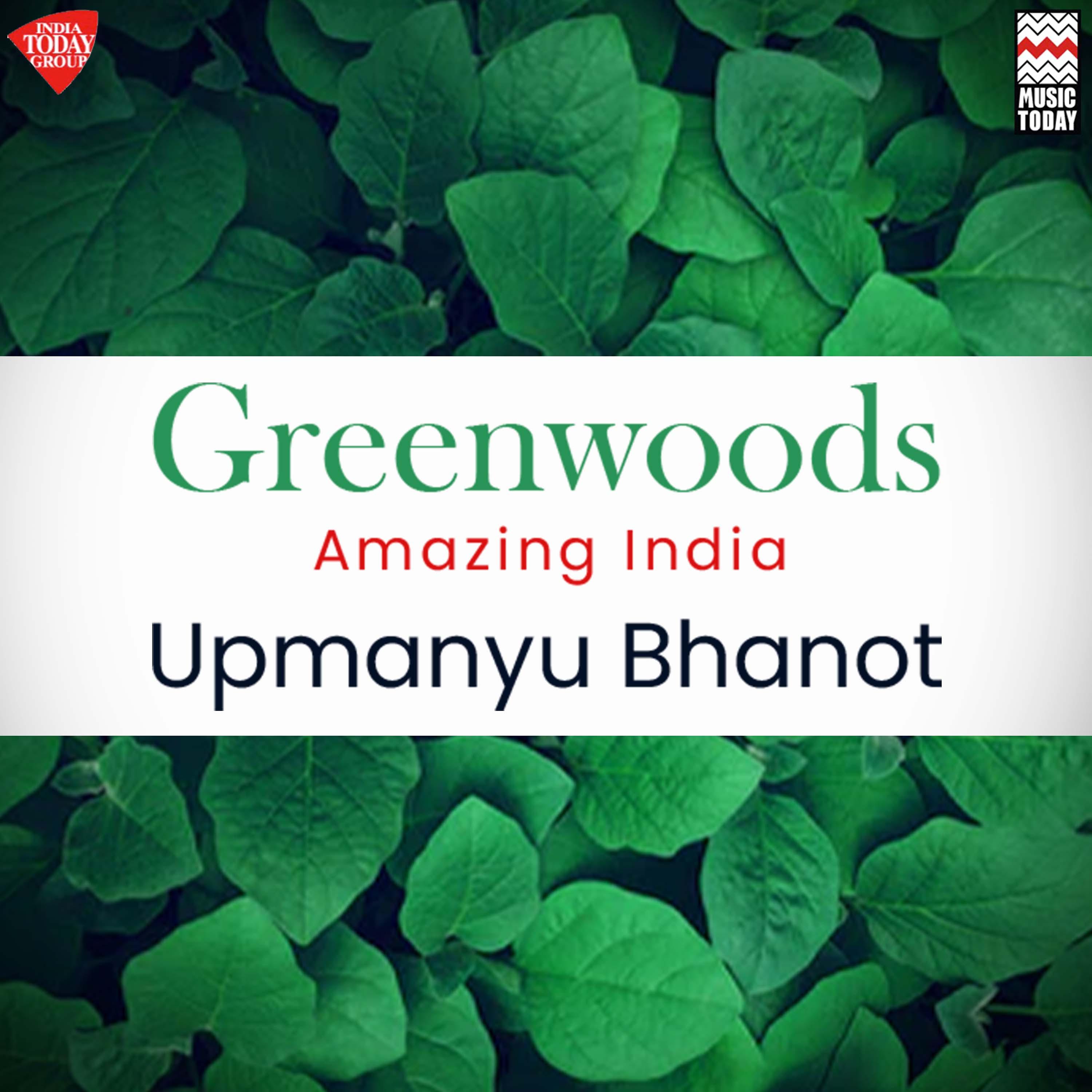 Постер альбома Greenwoods - Amazing India