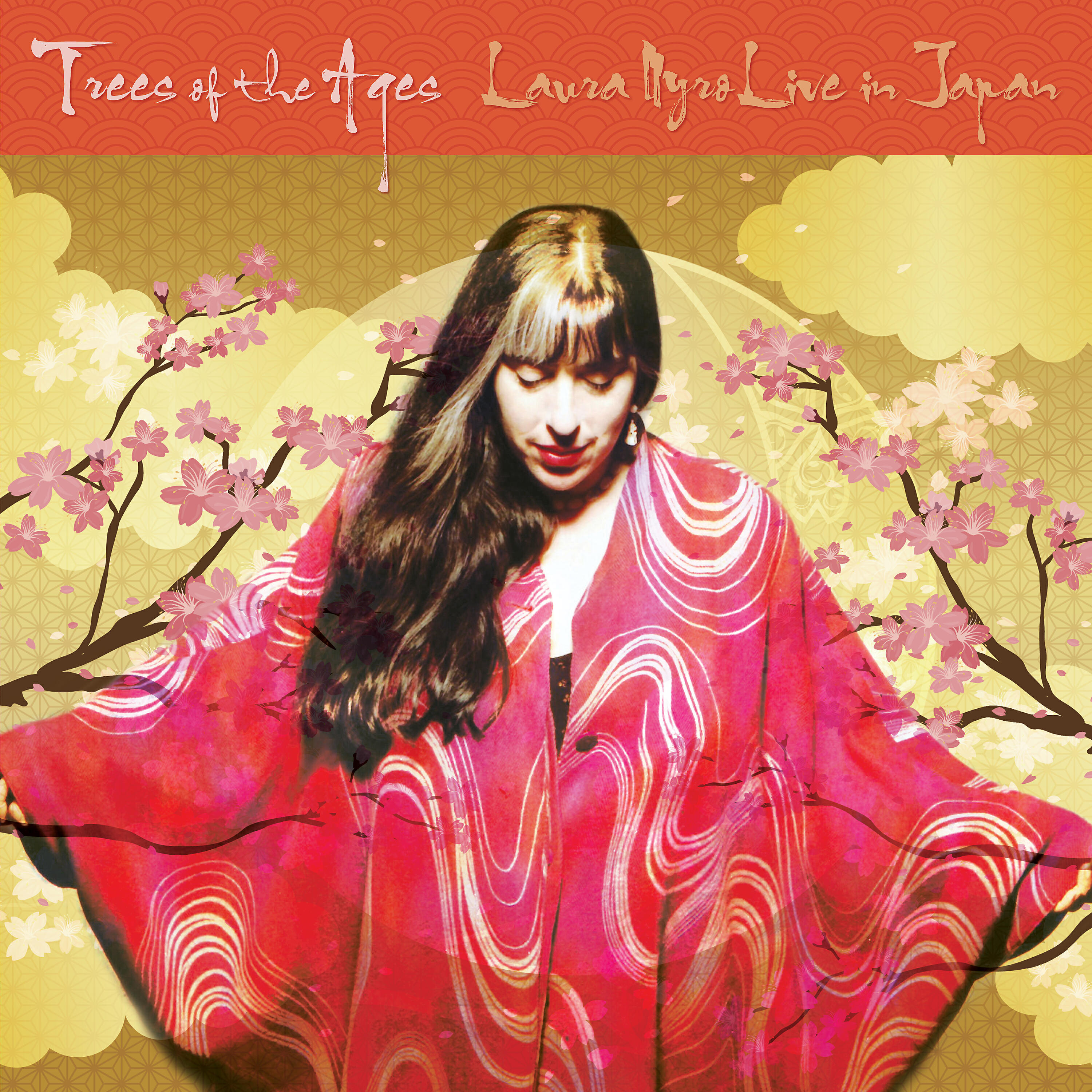 Laura Nyro - My Innocence/Sophia (Live in Japan)