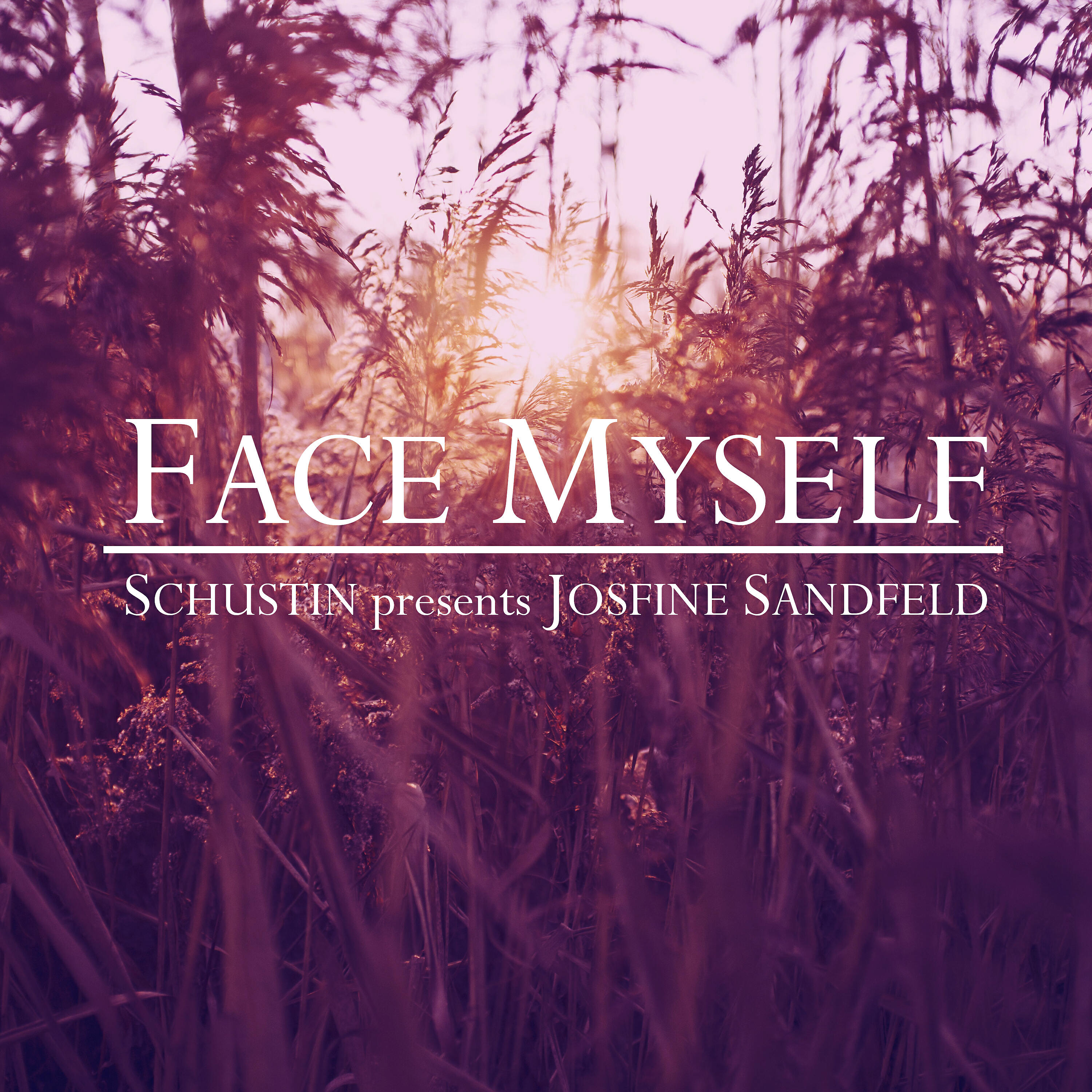 Schustin - Face Myself (DJ Sead Remix)