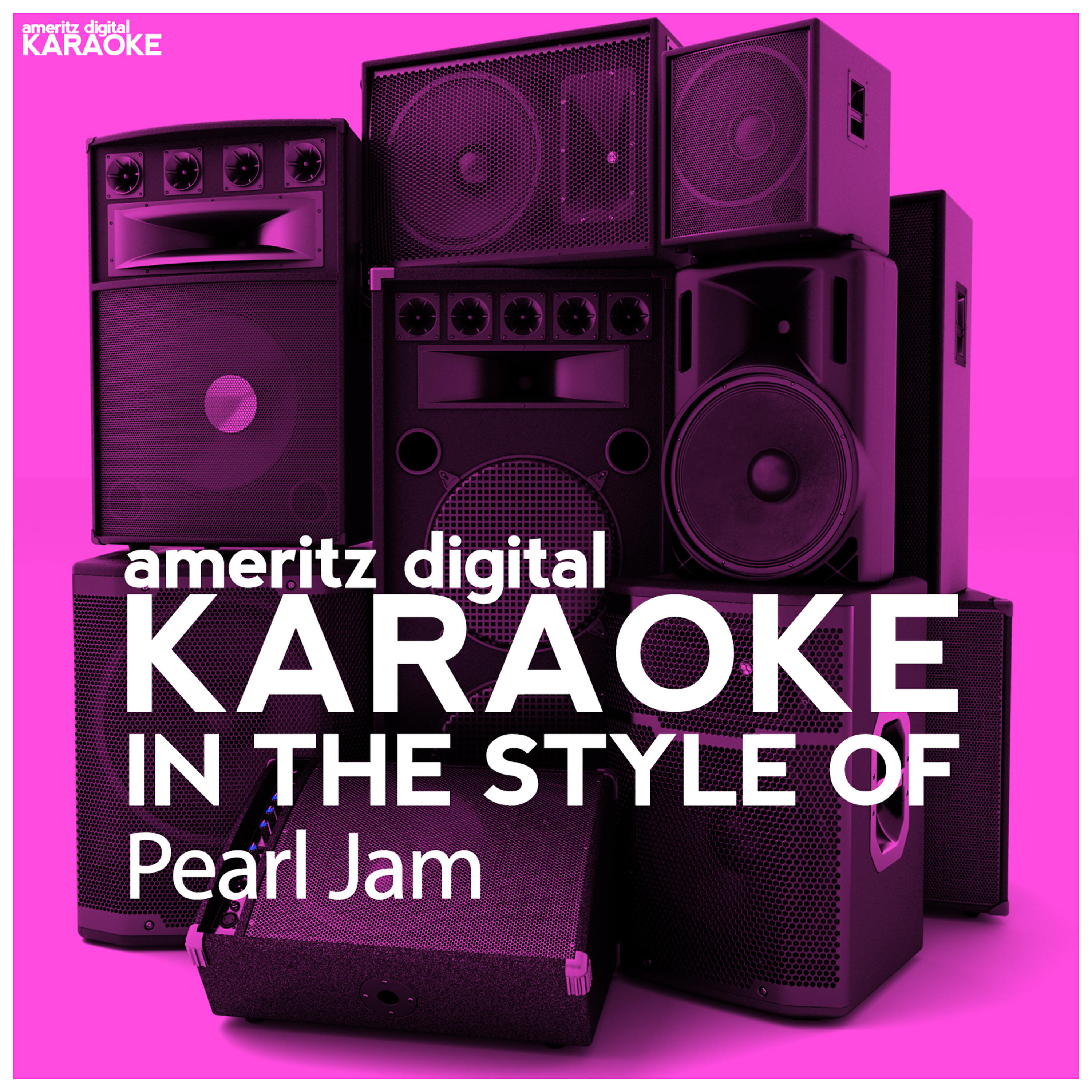 Ameritz Digital Karaoke - The Fixer (Karaoke Version)