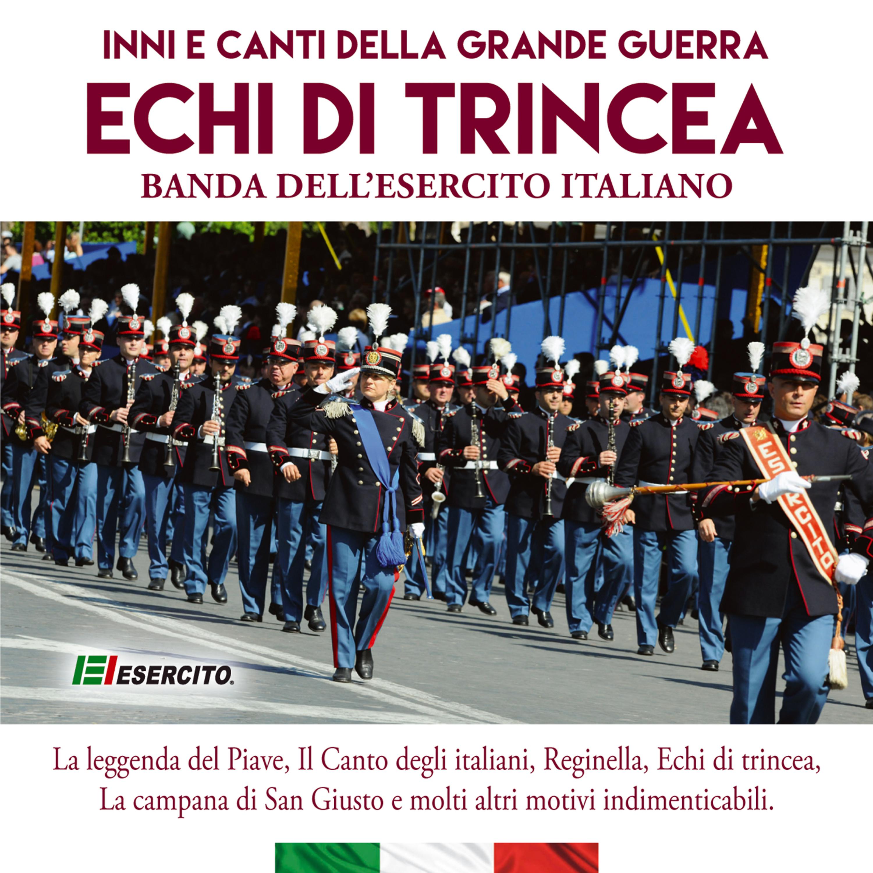 Постер альбома Echi di trincea