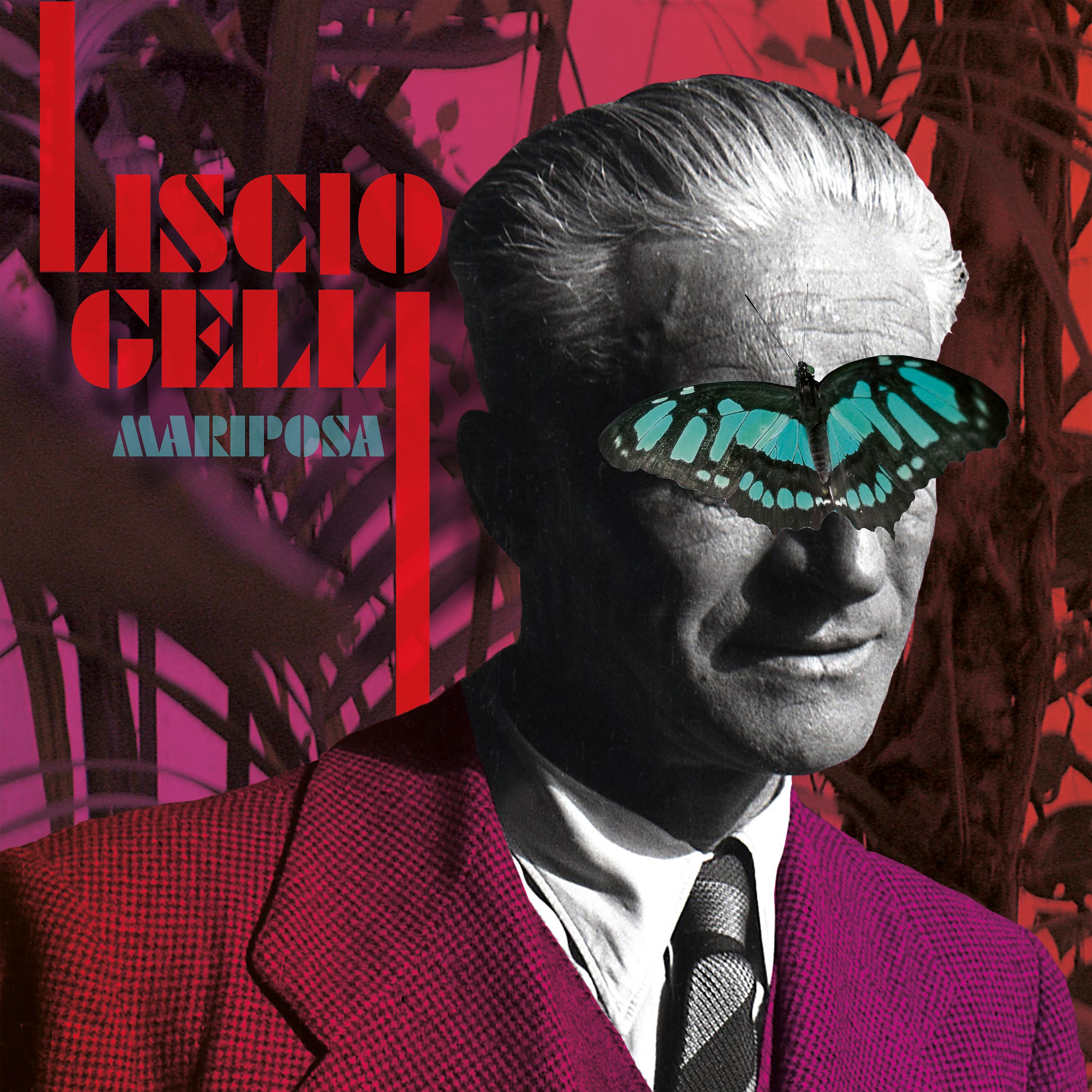 Постер альбома Liscio Gelli