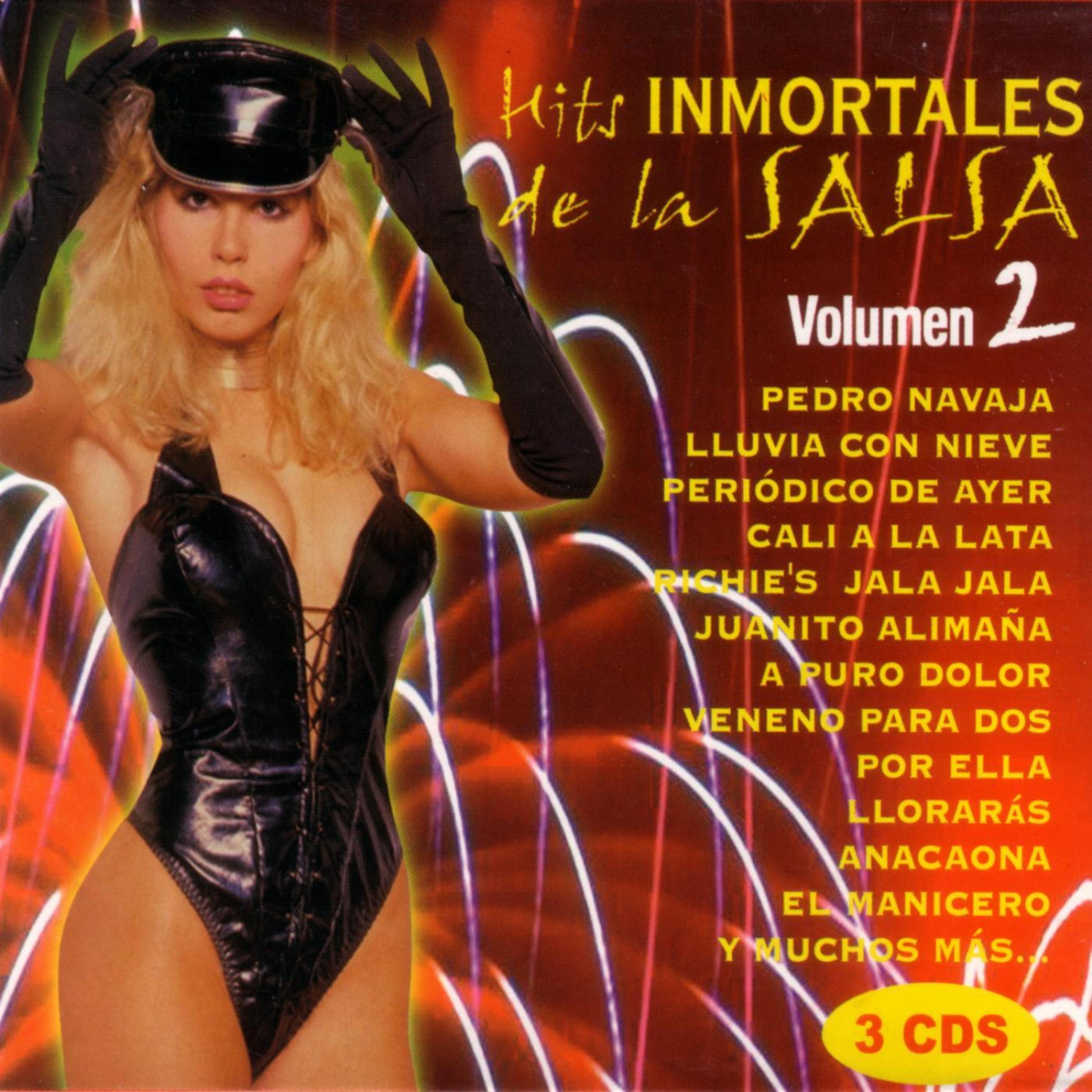 Постер альбома Hits Inmortales De La Salsa - 2