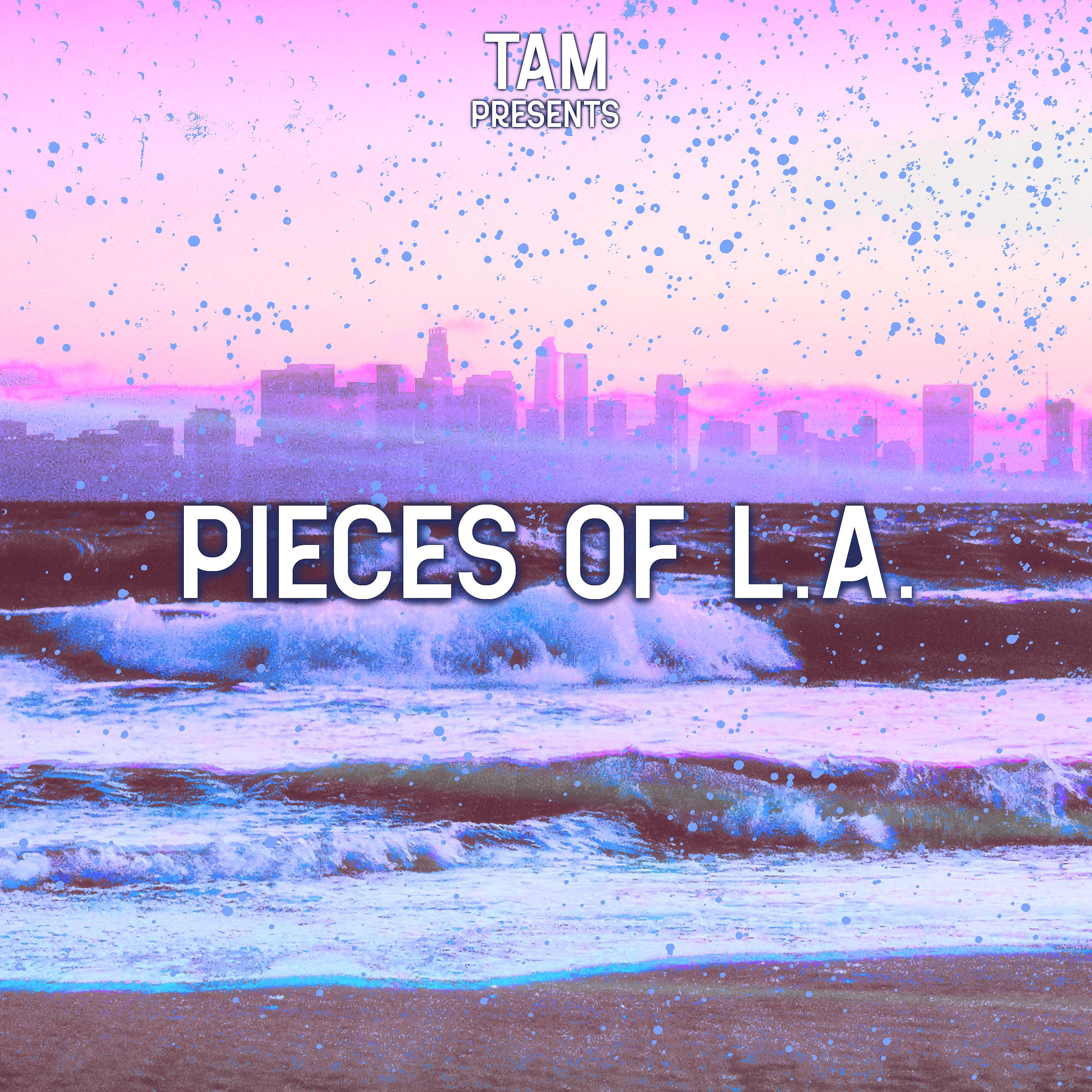 Постер альбома Pieces of L.A.