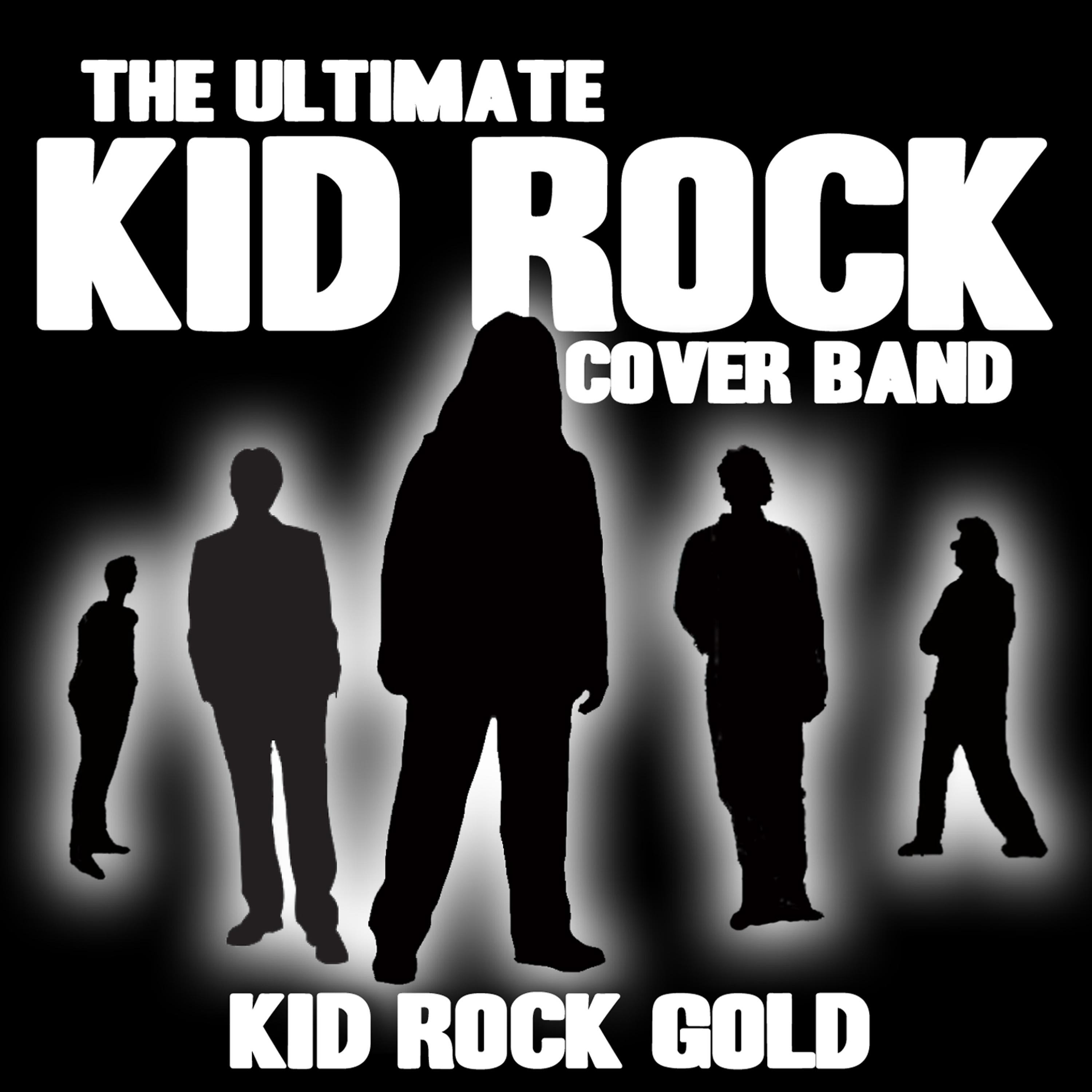 Постер альбома Kid Rock Gold