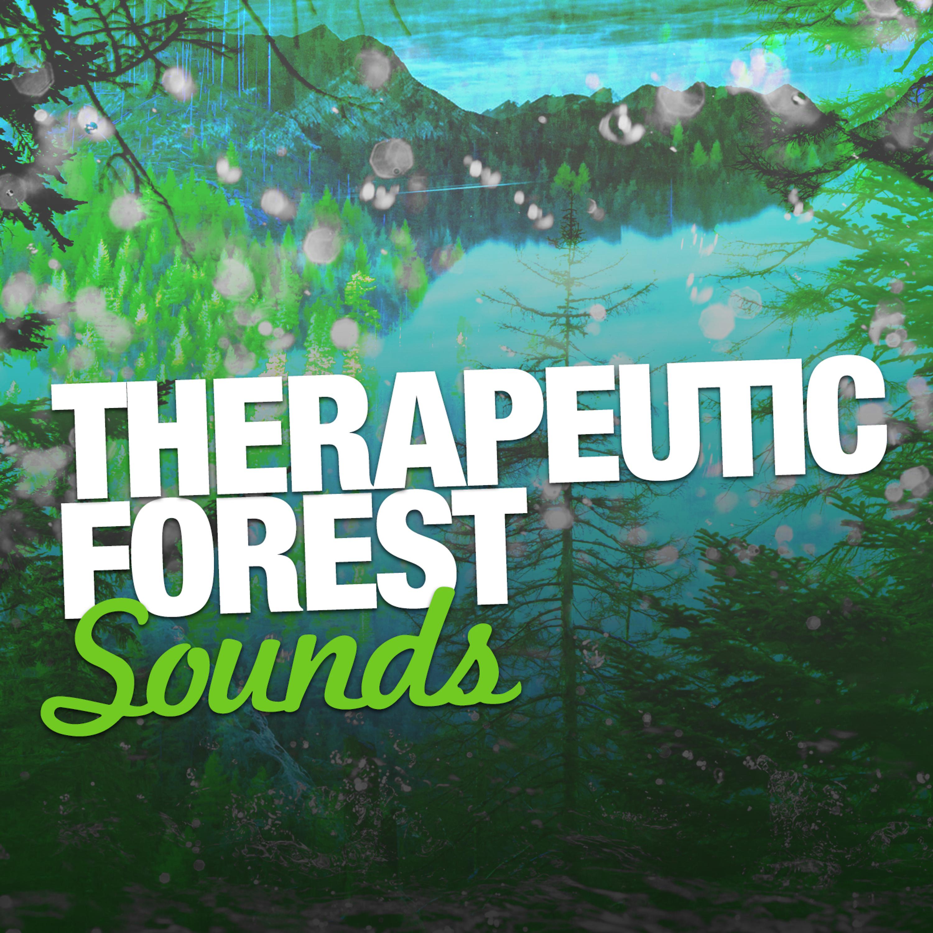 Постер альбома Therapeutic Forest Sounds