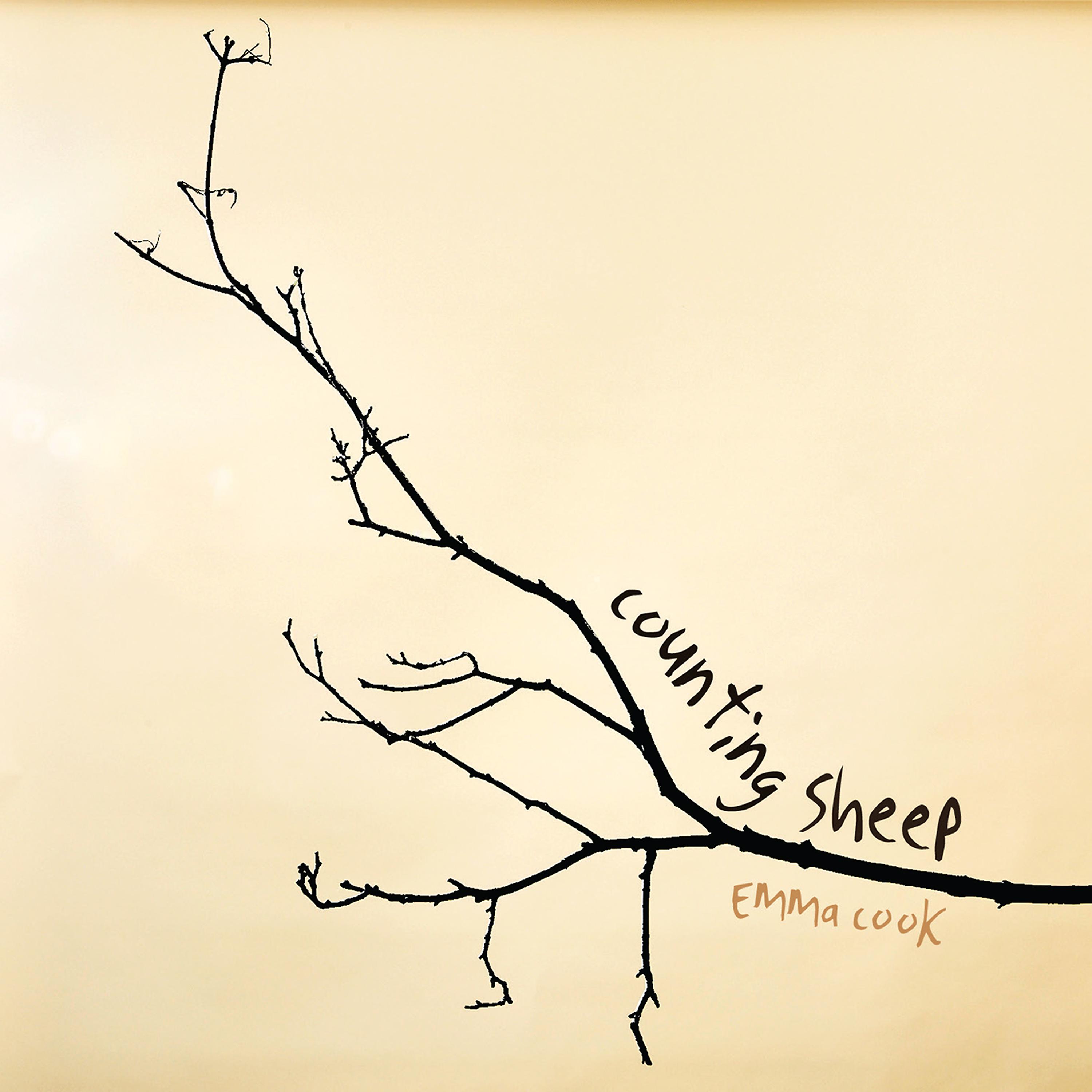 Постер альбома Counting Sheep